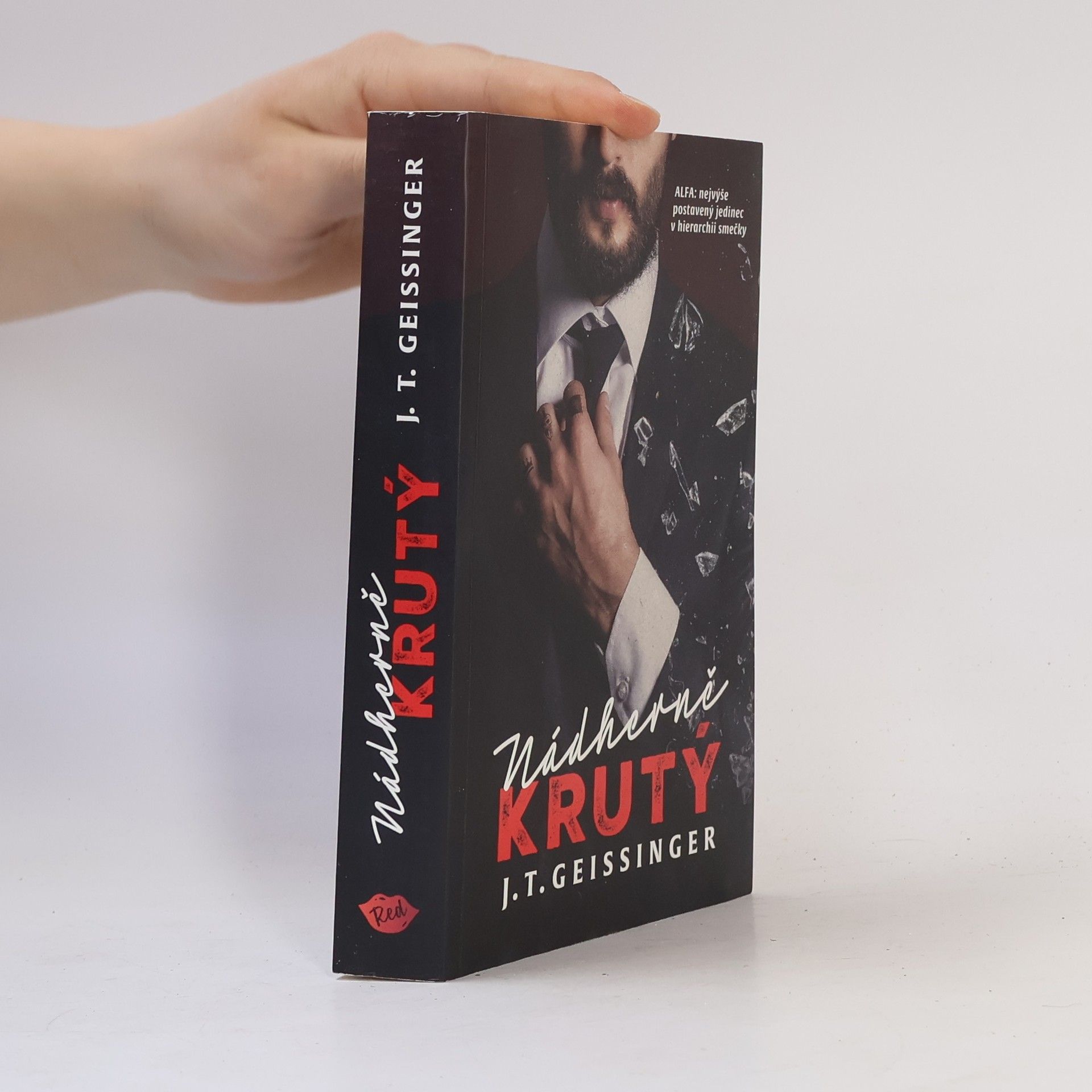 J. T. Geissinger Nádherně krutý