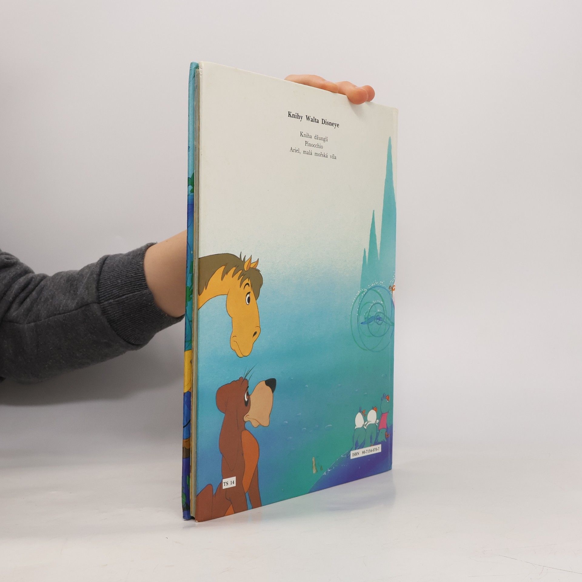 Collectif d'auteurs Popelka