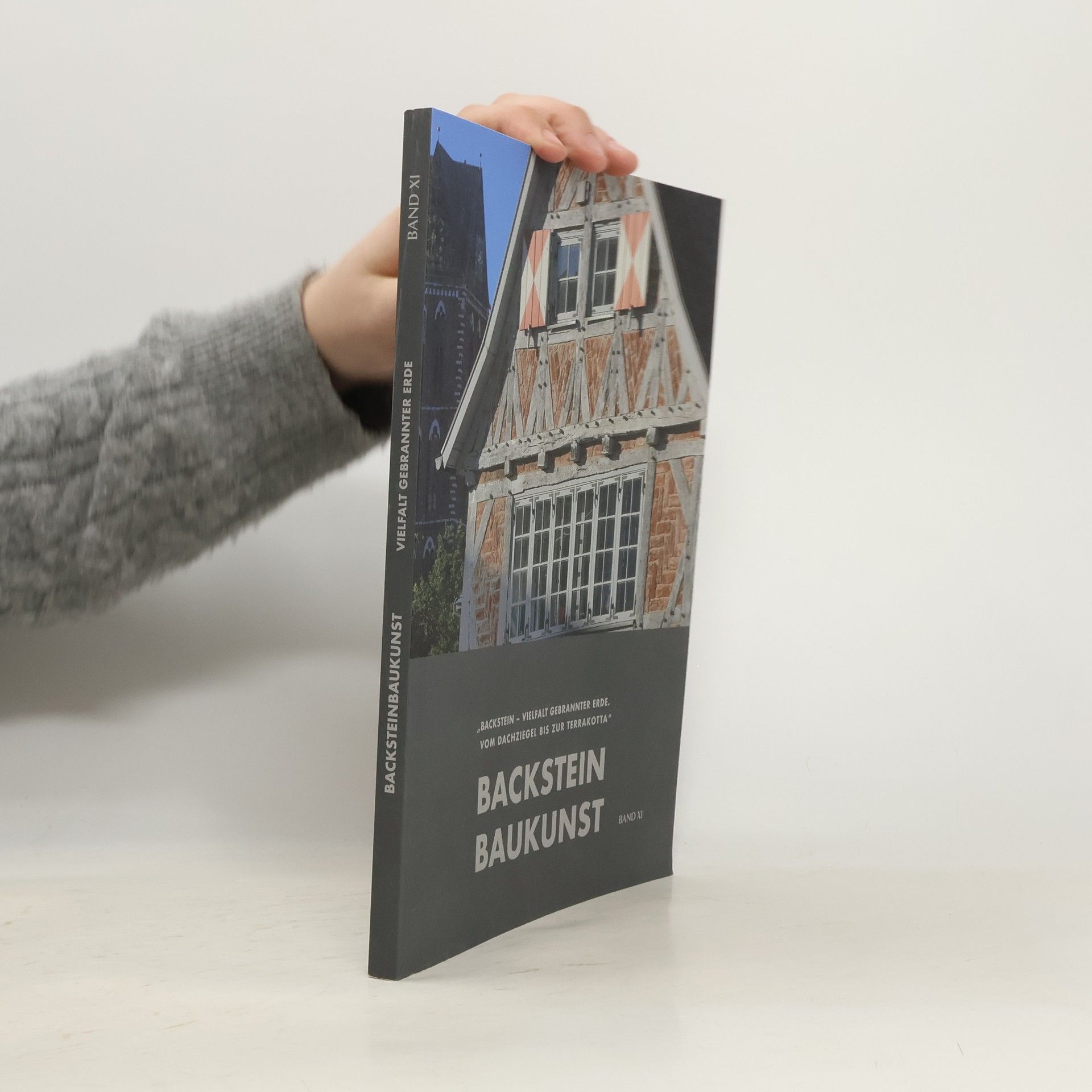 Auteurscollectief Backsteinbaukunst: Vielfalt gebrannter Erde. Band XI
