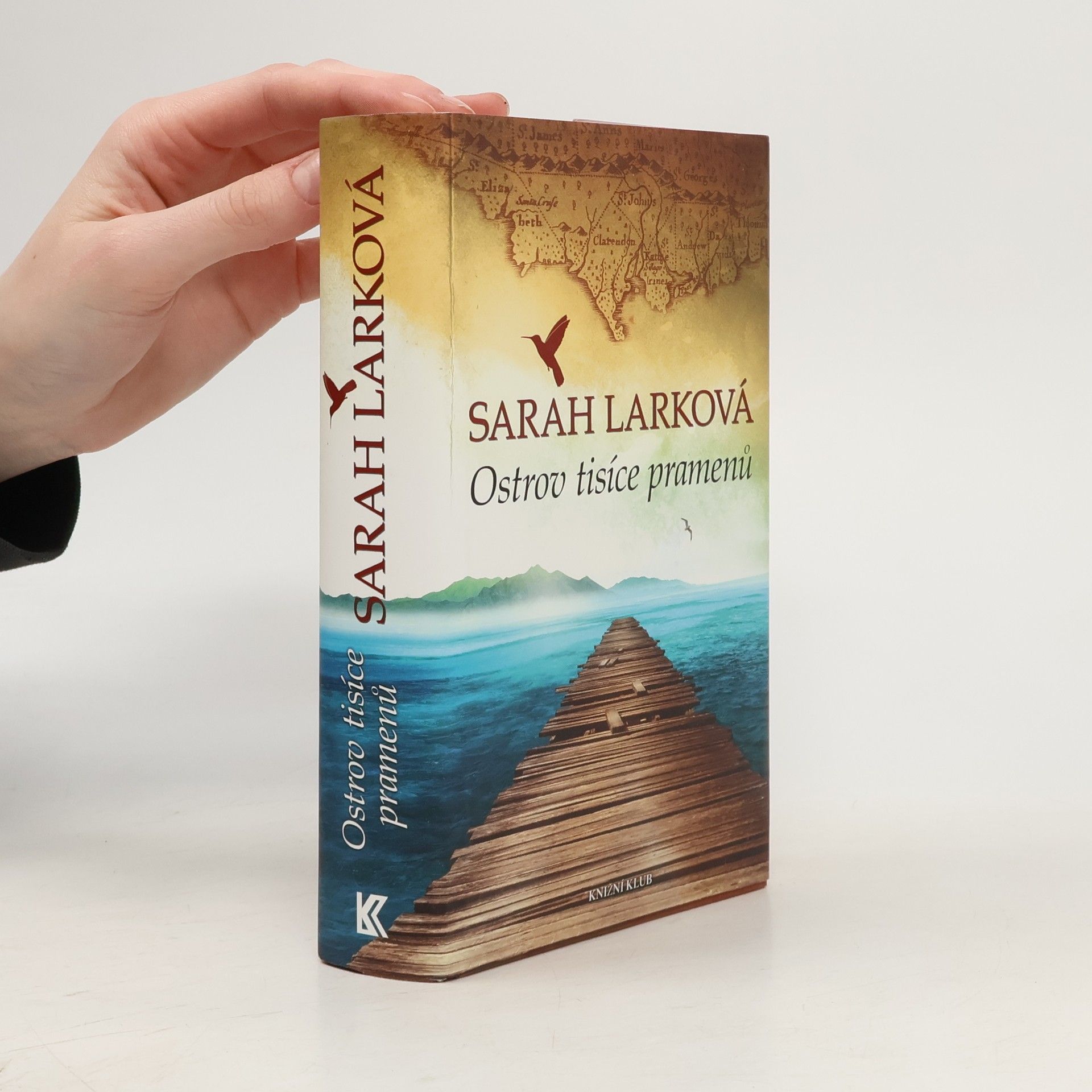 Christiane Gohl Ostrov tisíce pramenů