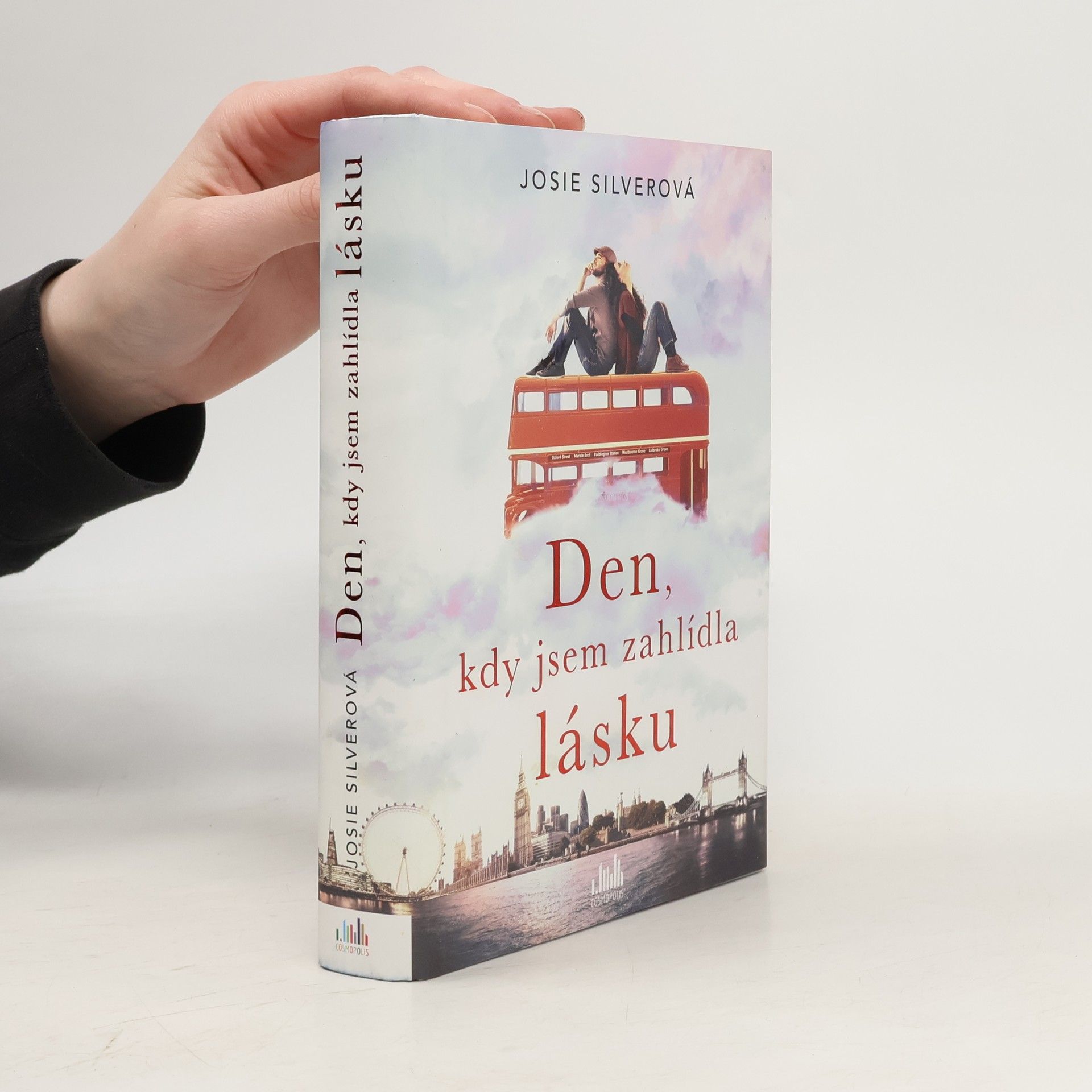 Josie Silver Den, kdy jsem zahlídla lásku