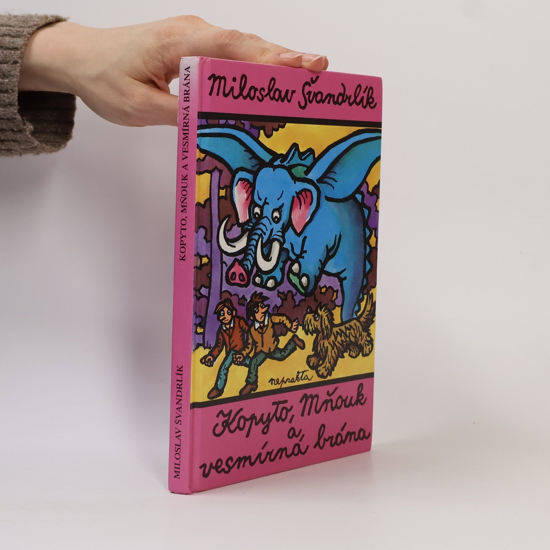 Kopyto, Mňouk a vesmírná brána