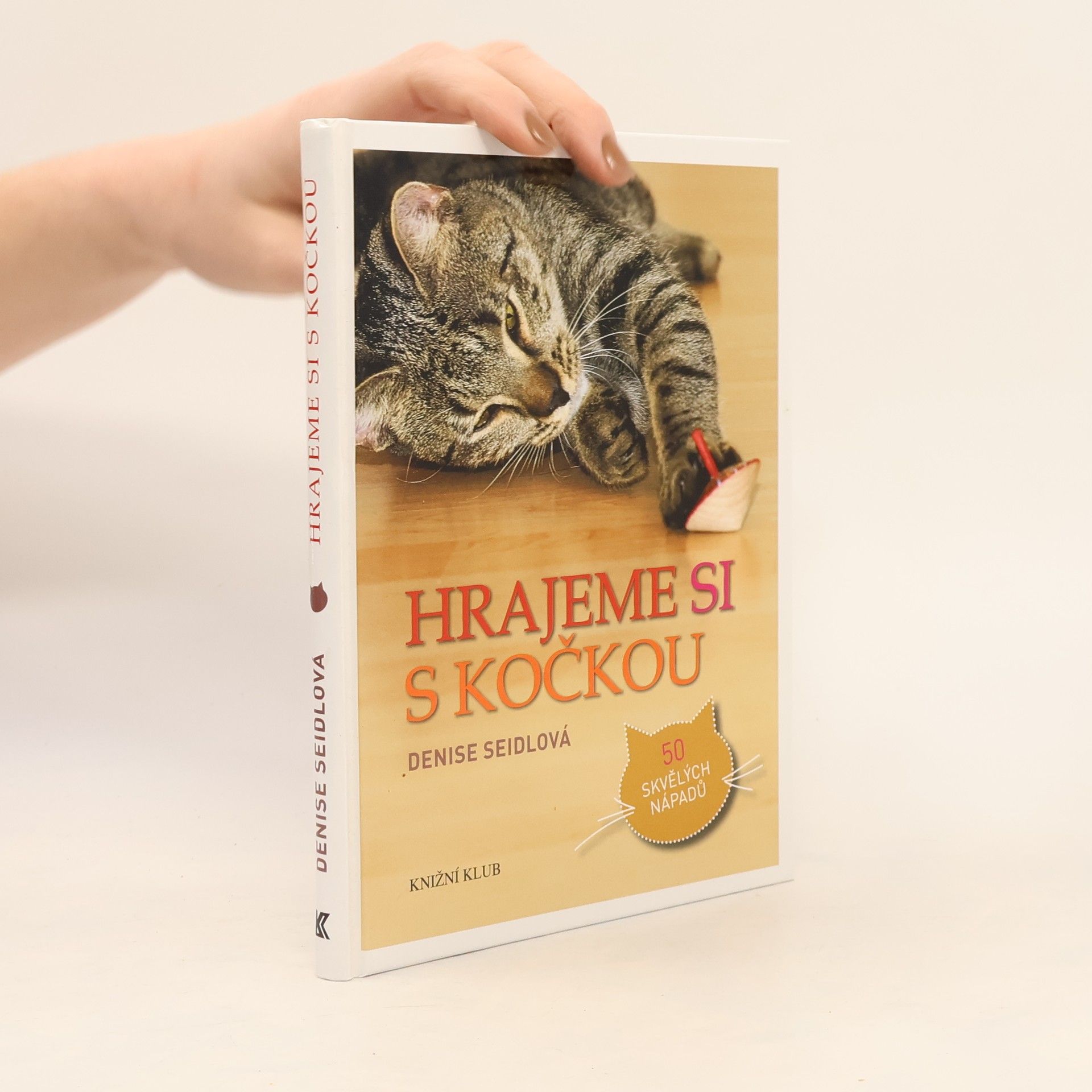 Denise Seidl Hrajeme si s kočkou : 50 skvělých nápadů