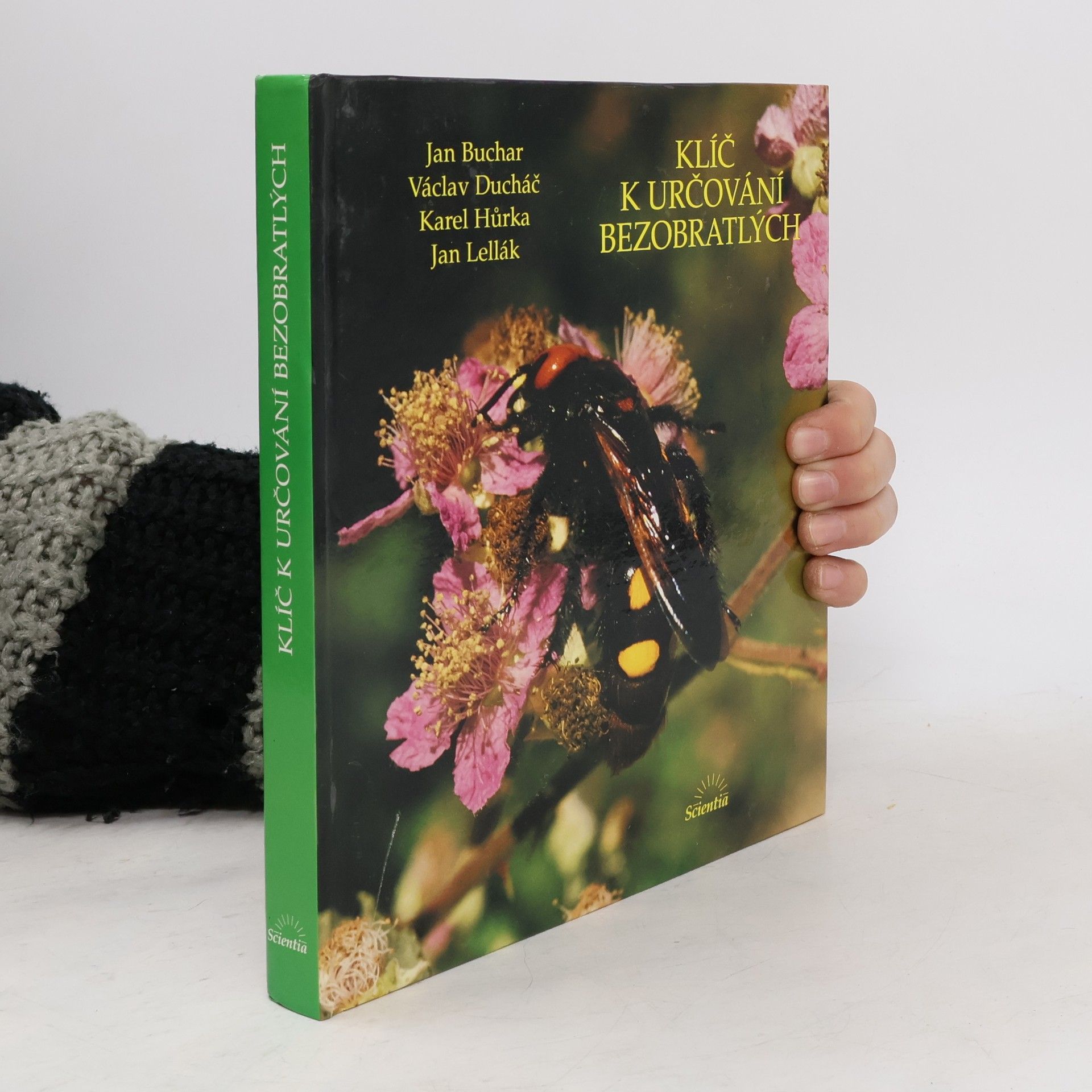 Jan Buchar Klíč k určování bezobratlých