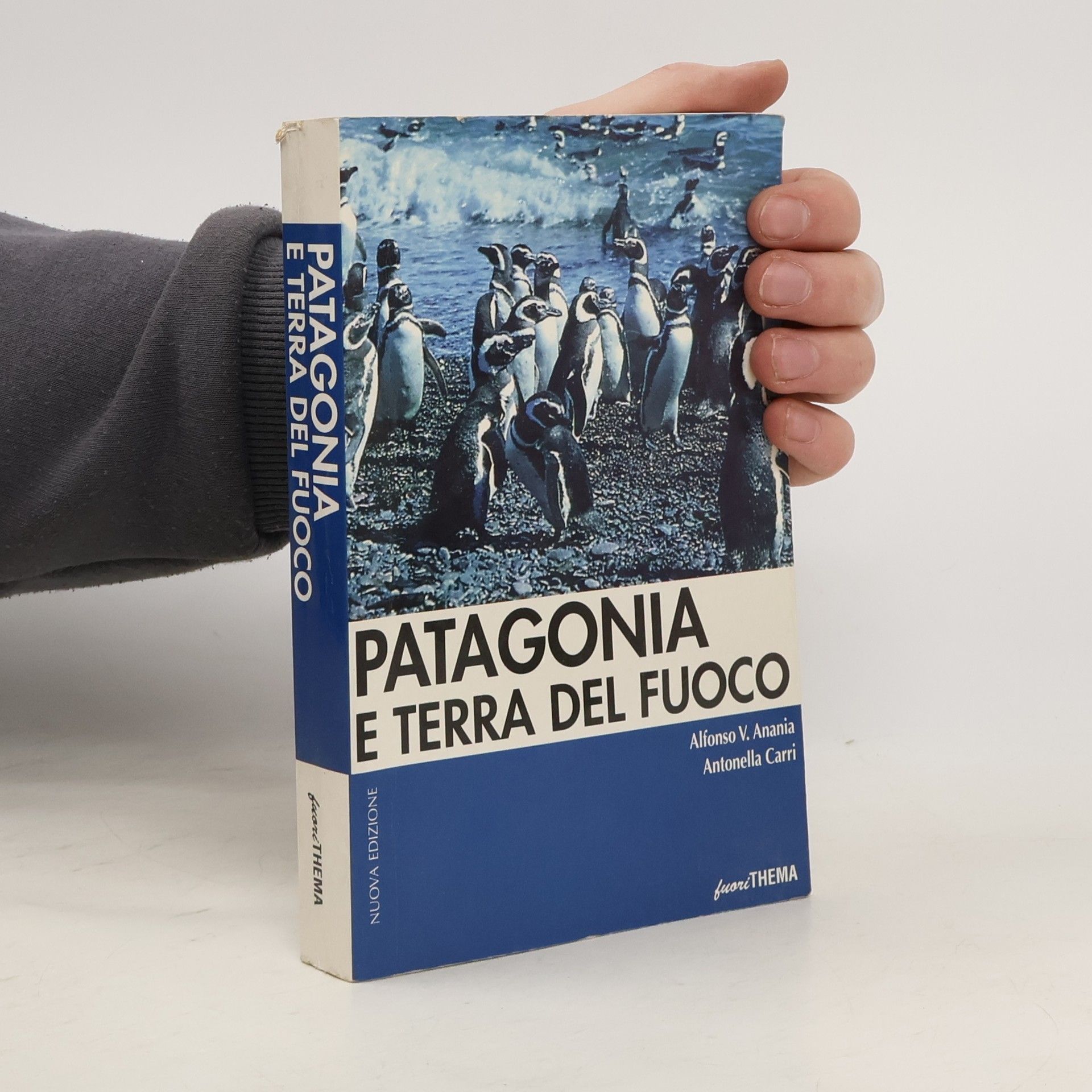 Alfonso V. Anania Patagonia e Terra del Fuoco