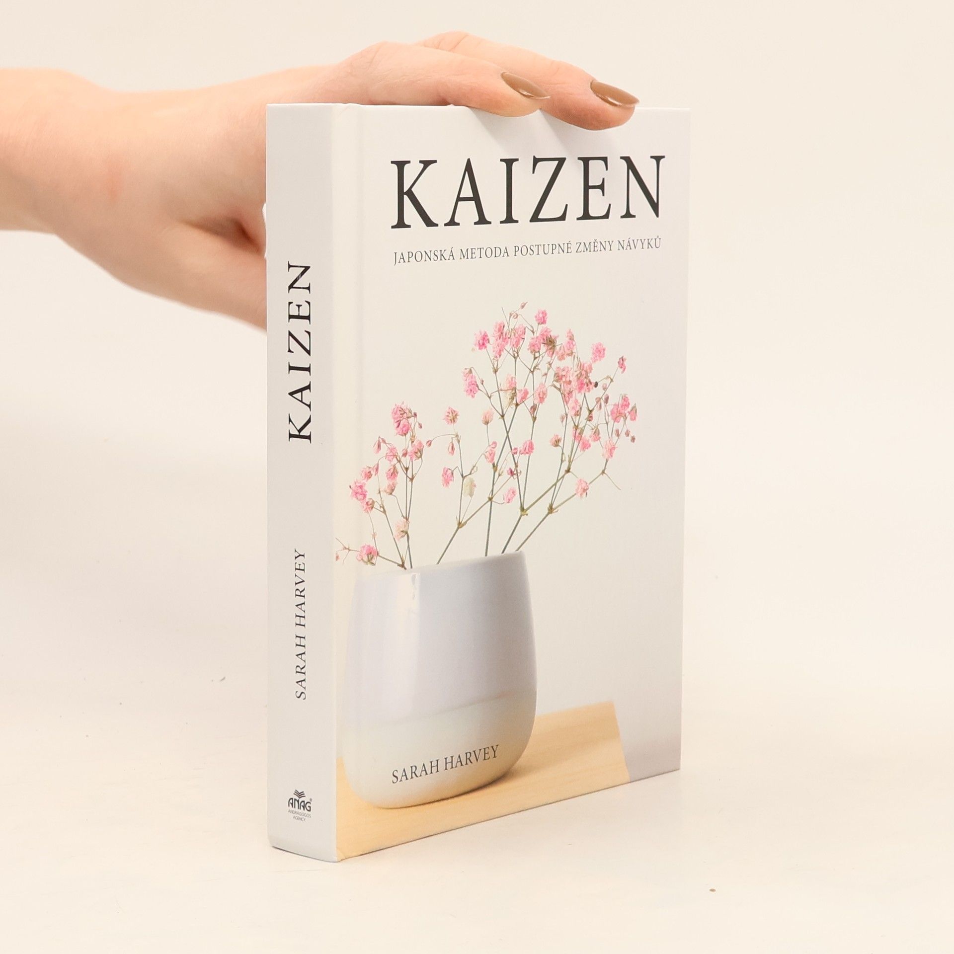 Sarah Harvey Kaizen: Japonská metoda postupné změny návyků