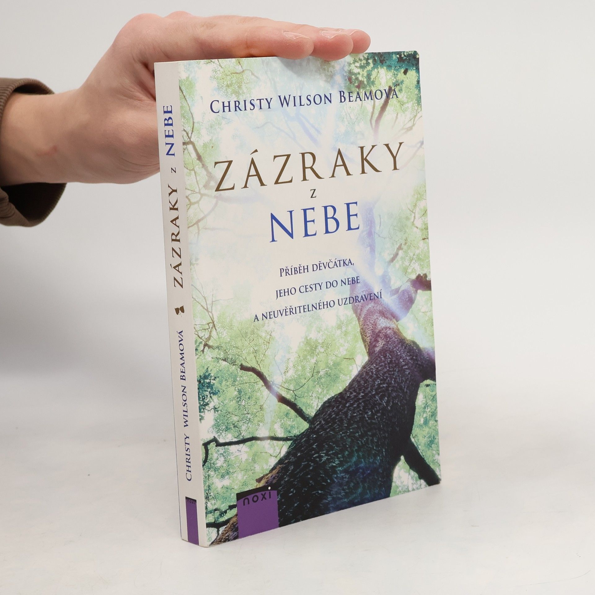 Christy Wilson Beam Zázraky z nebe