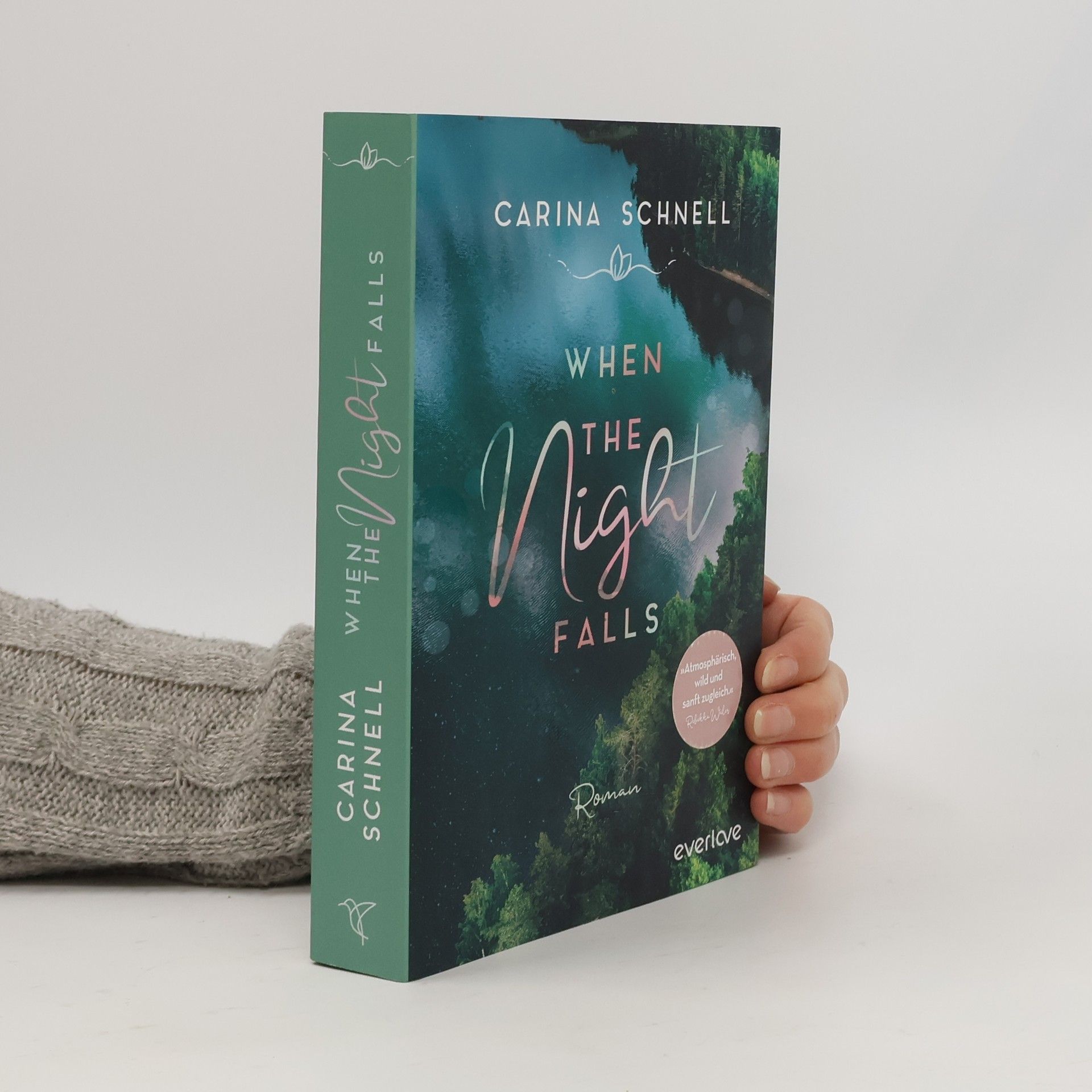 Carina Schnell When the Night Falls