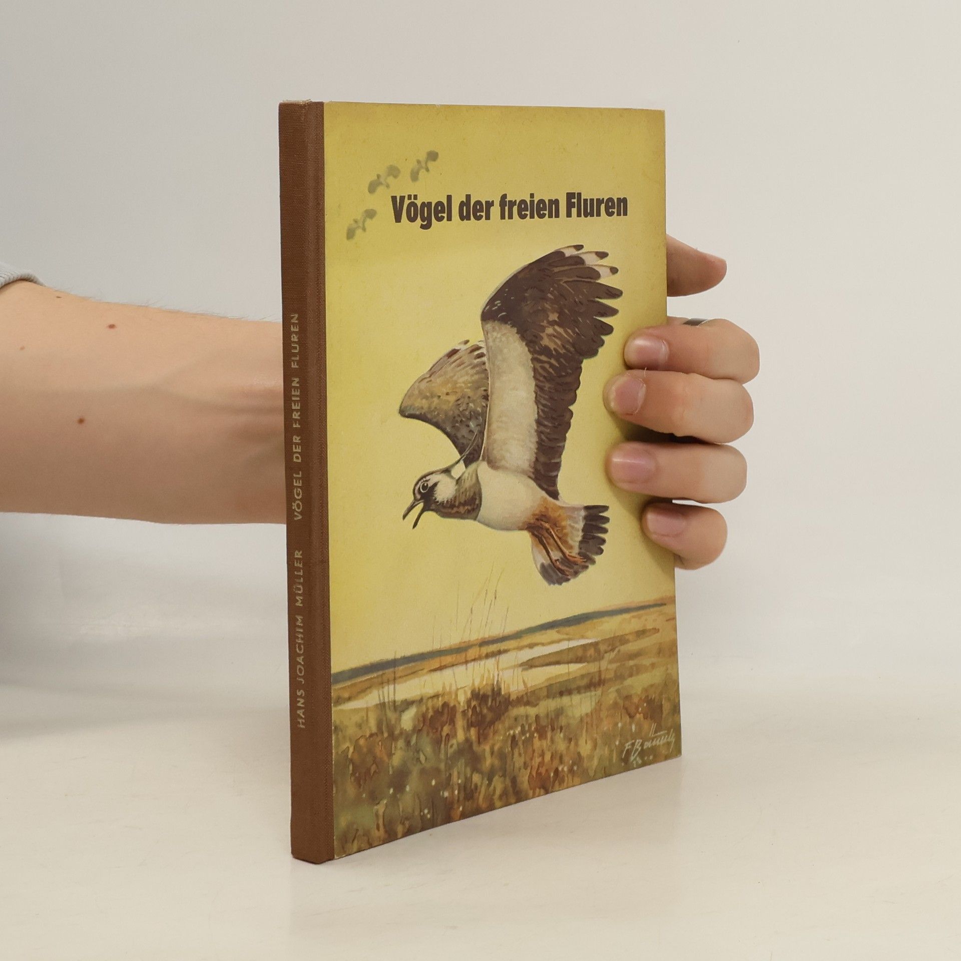 Hans-Joachim Müller Vögel der freien Fluren