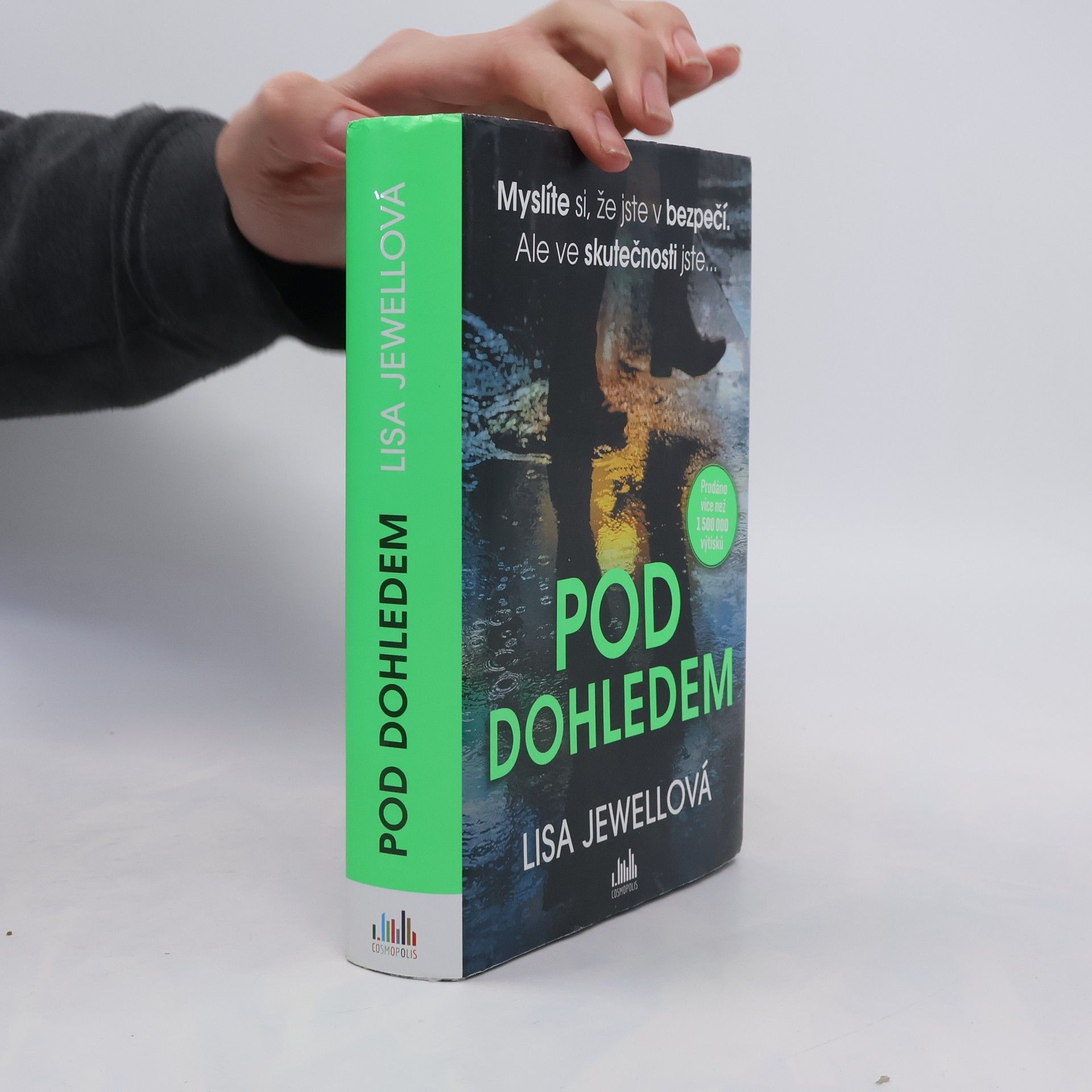 Lisa Jewell Pod dohledem