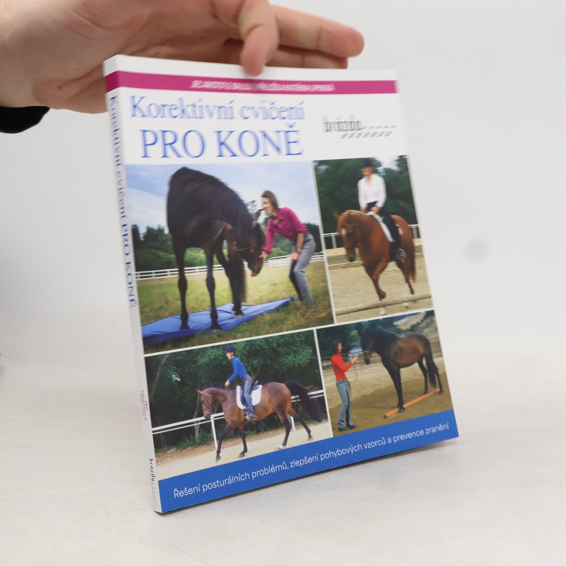 Jec Aristotle Ballou Korektivní cvičení pro koně