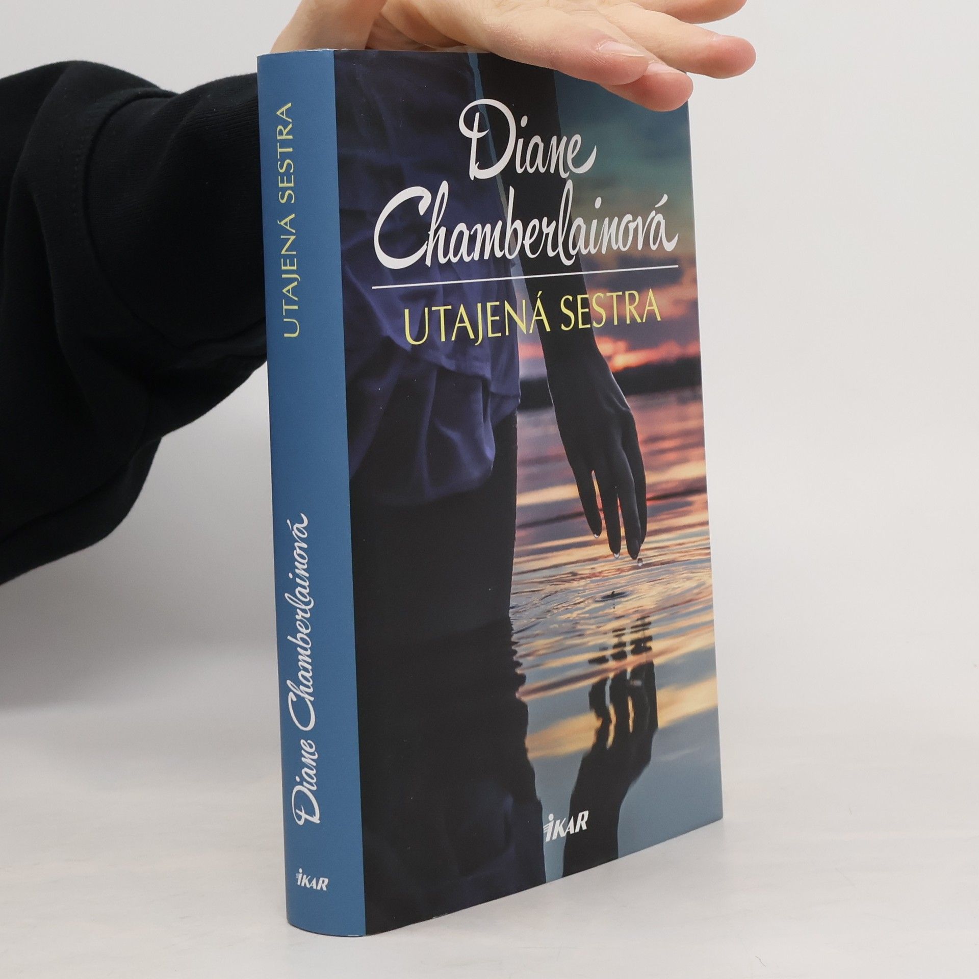 Diane Chamberlain Utajená sestra