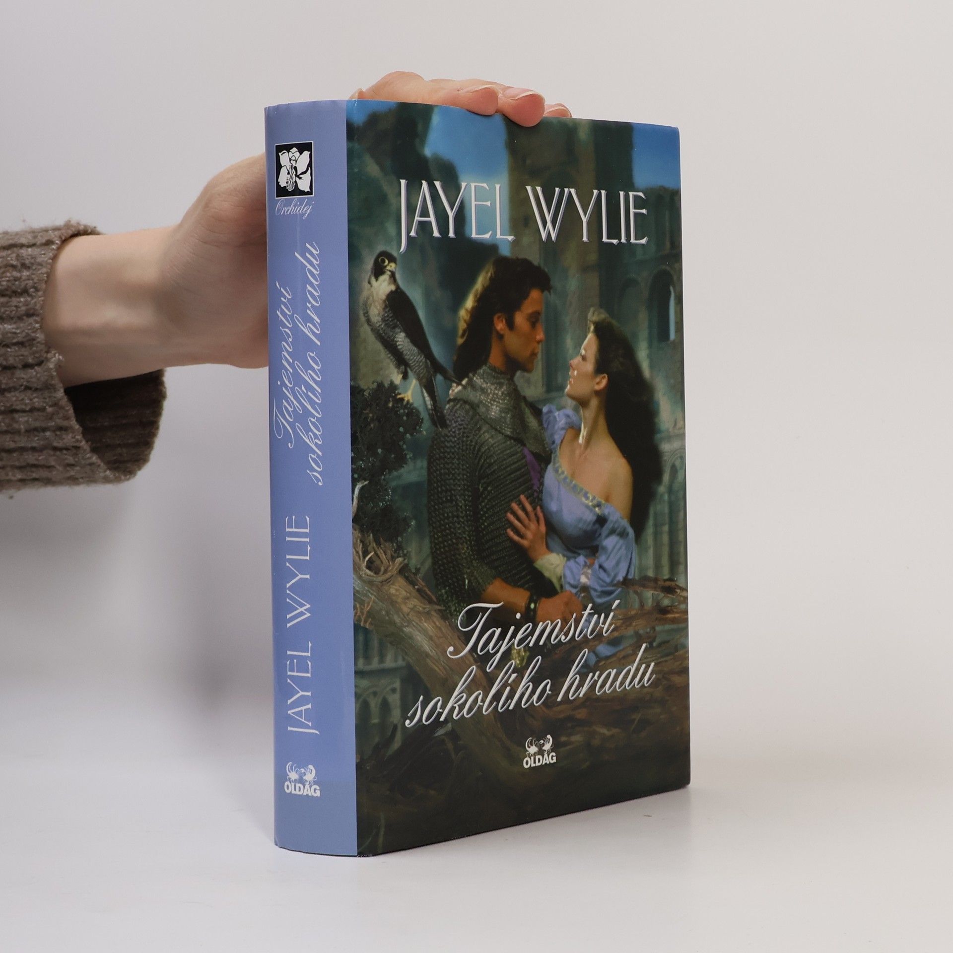 Jayel Wylie Tajemství sokolího hradu