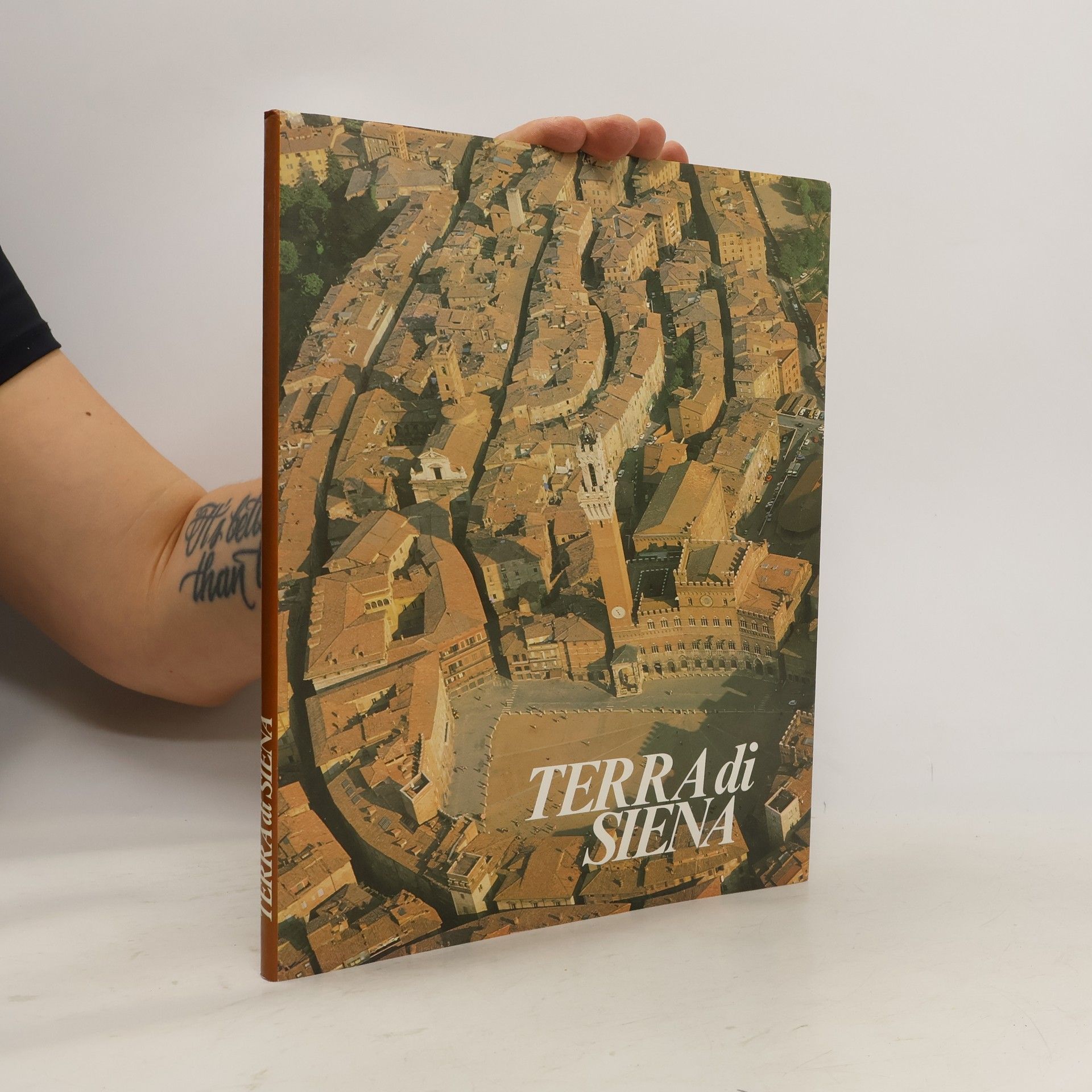 Paolo Cesarini Terra di Siena