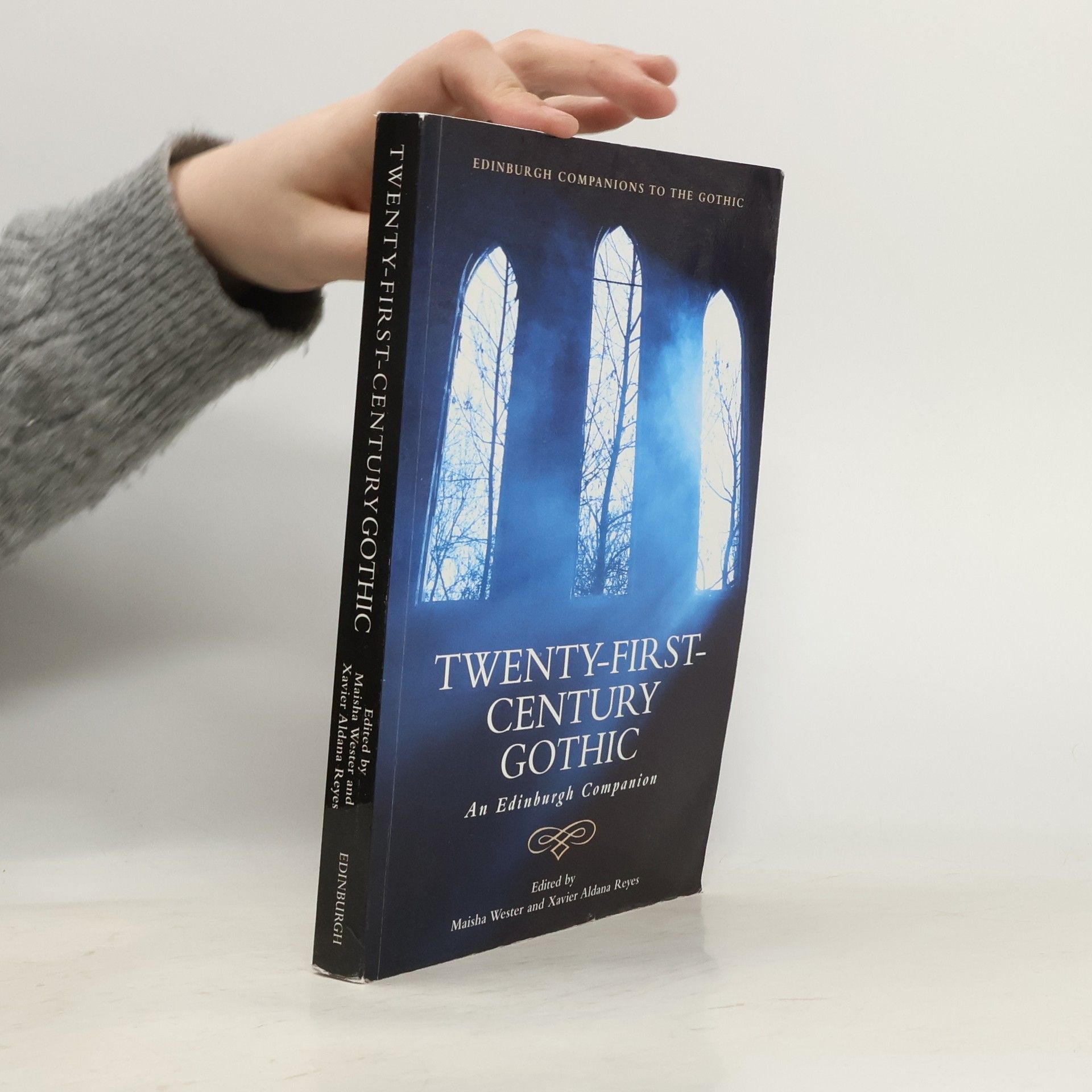 Kolektiv autorů Twenty-First-Century Gothic