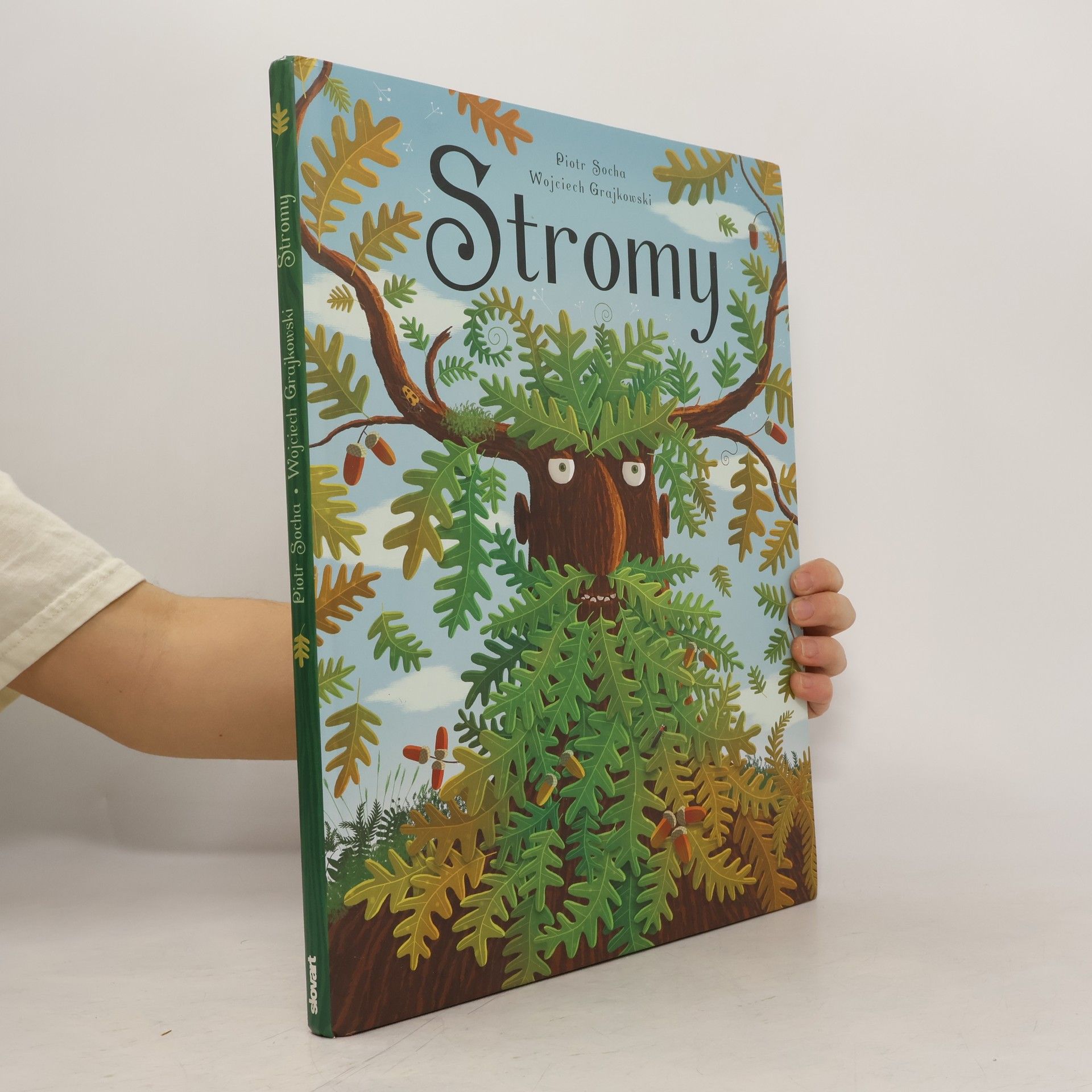 Piotr Socha Stromy