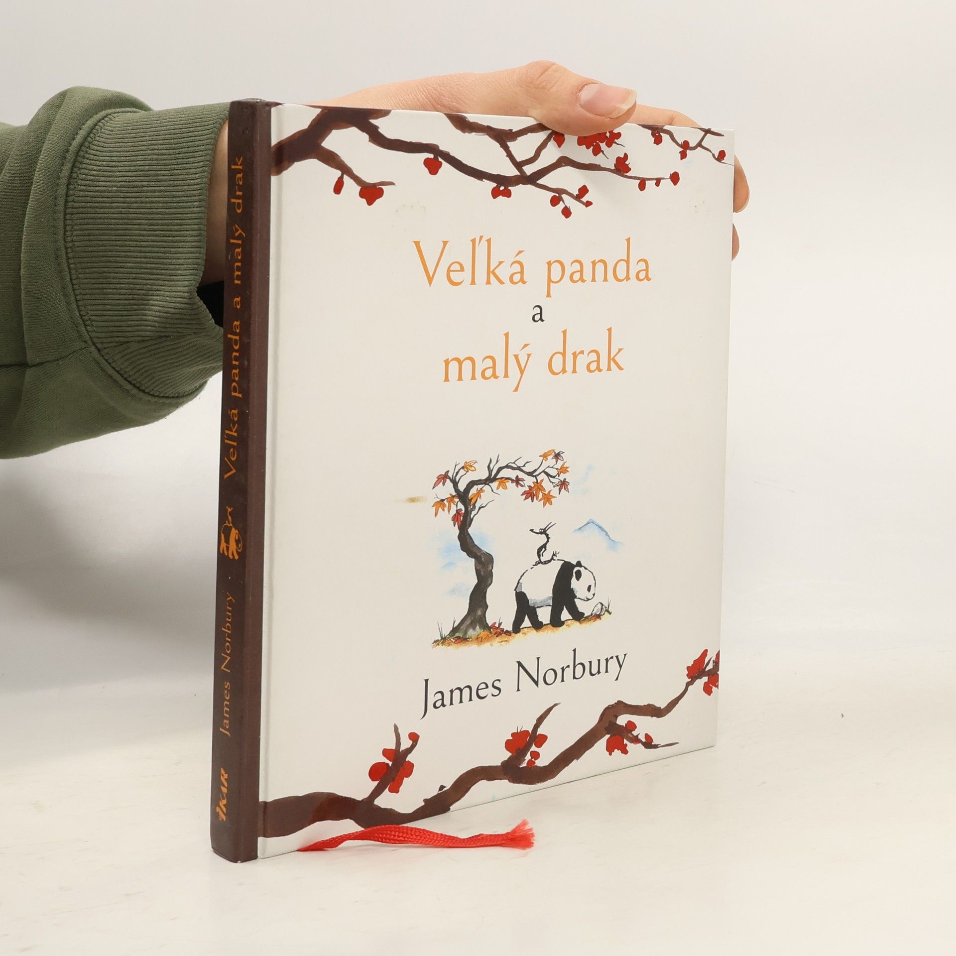 James Norbury Veľká panda a malý drak