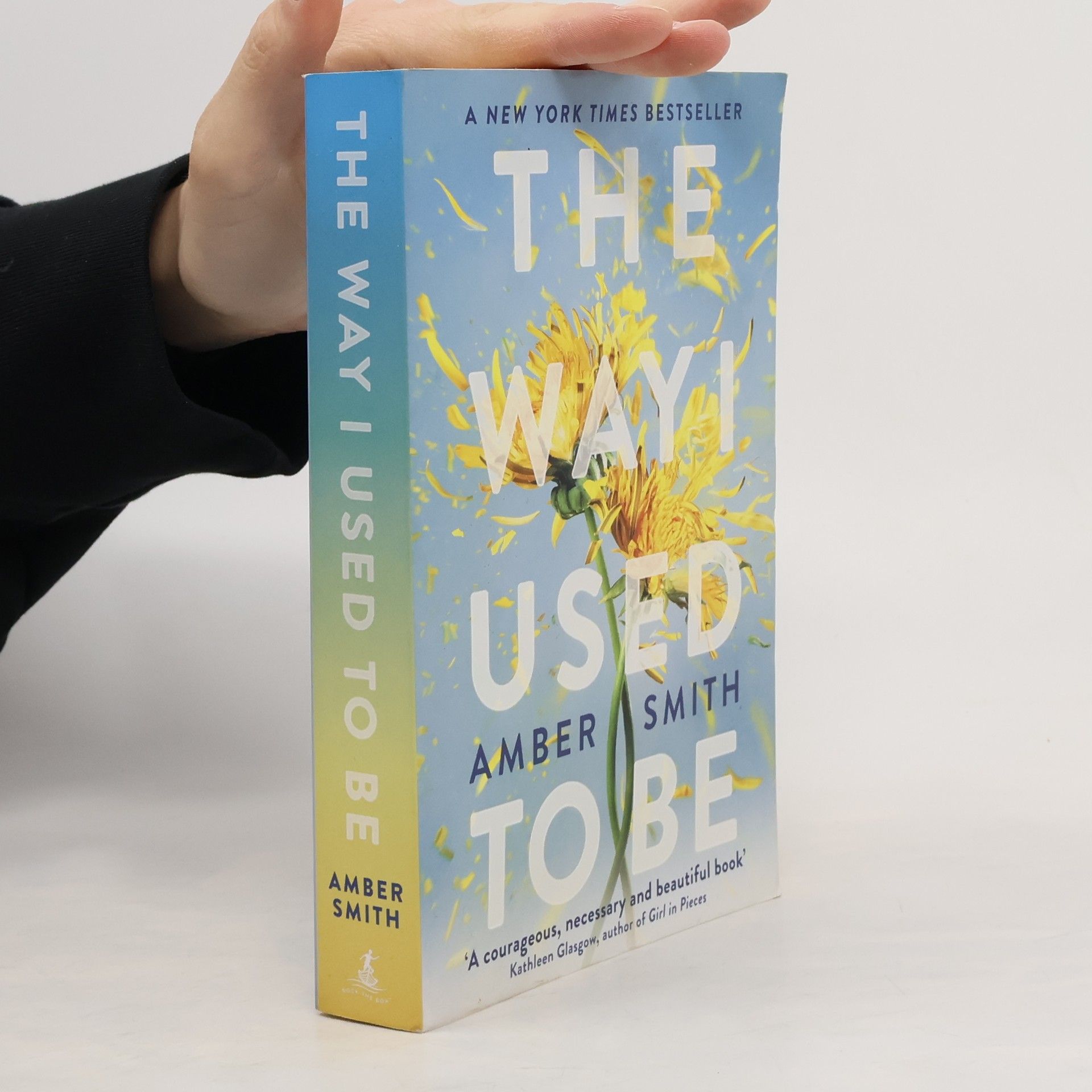 Amber Smith The Way I Used to Be