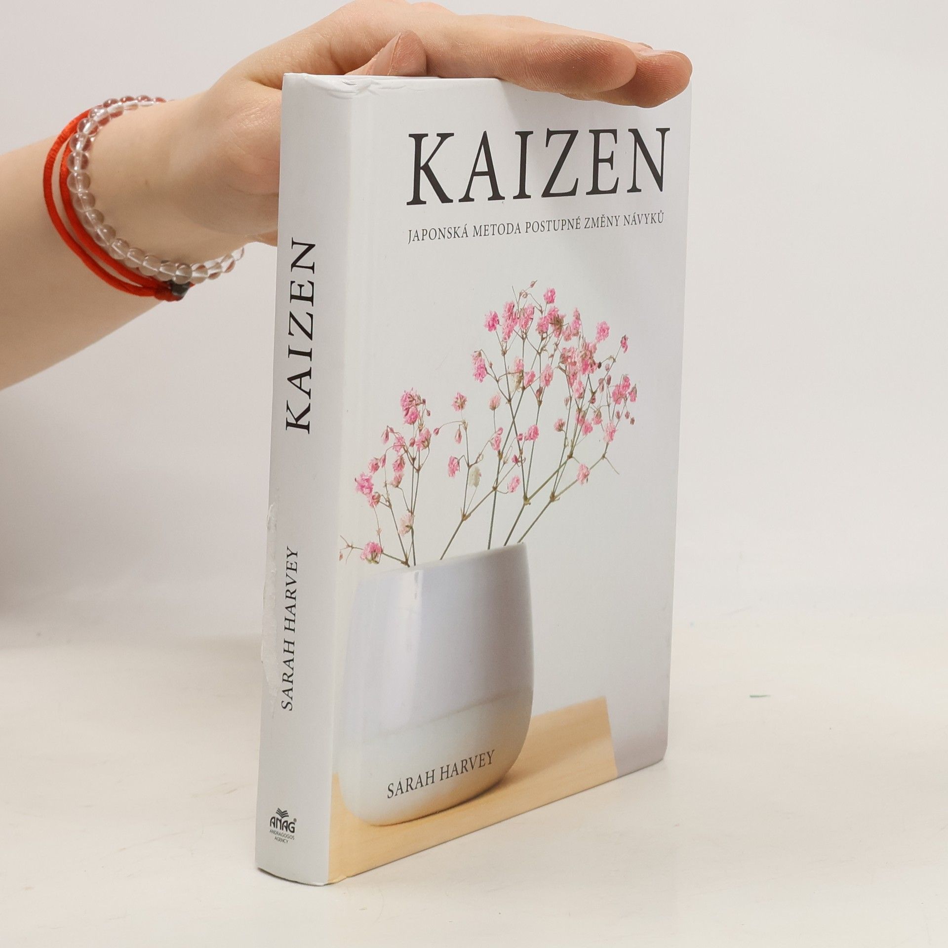 Sarah Harvey Kaizen: Japonská metoda postupné změny návyků