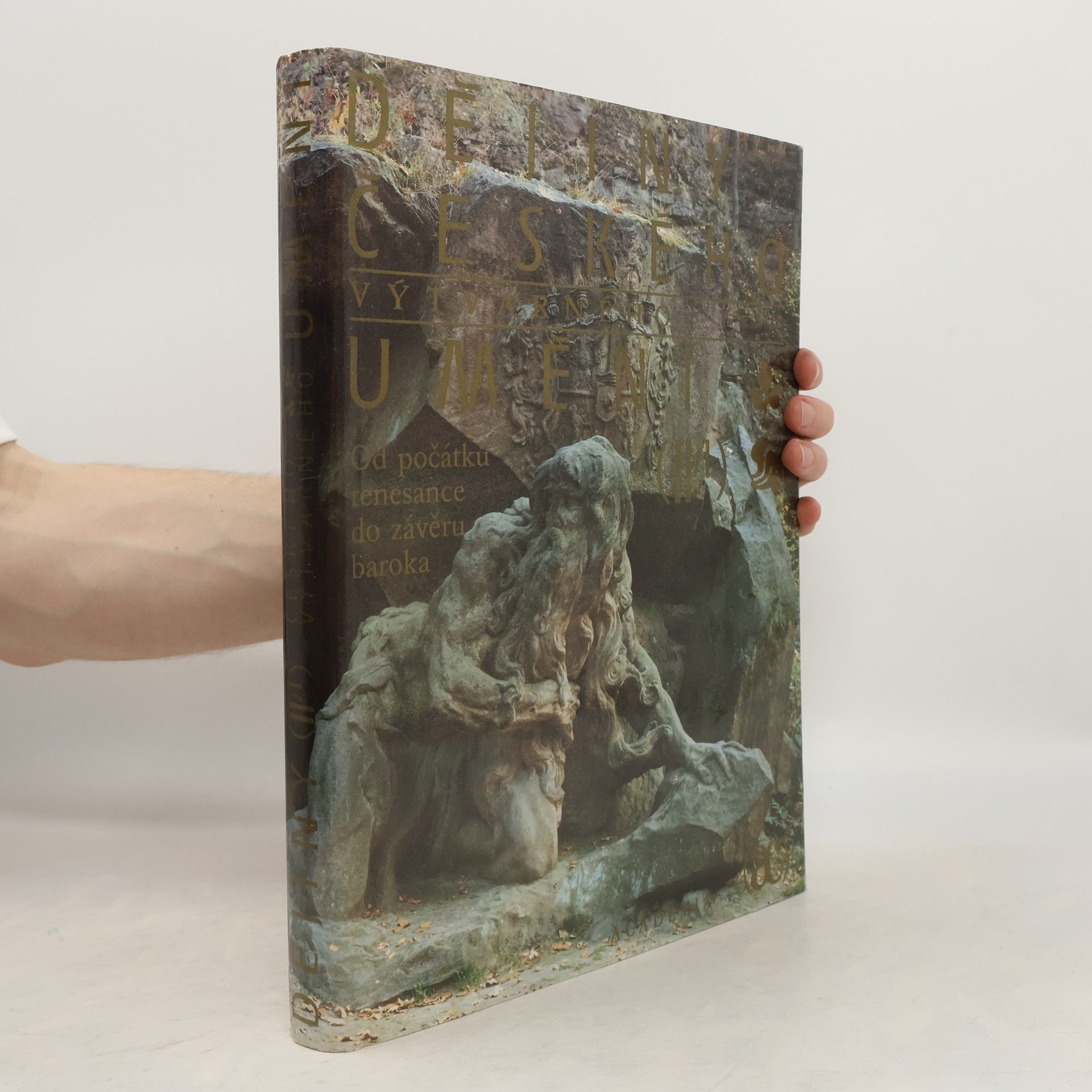 Autorenkollektiv Dějiny českého výtvarného umění II/1