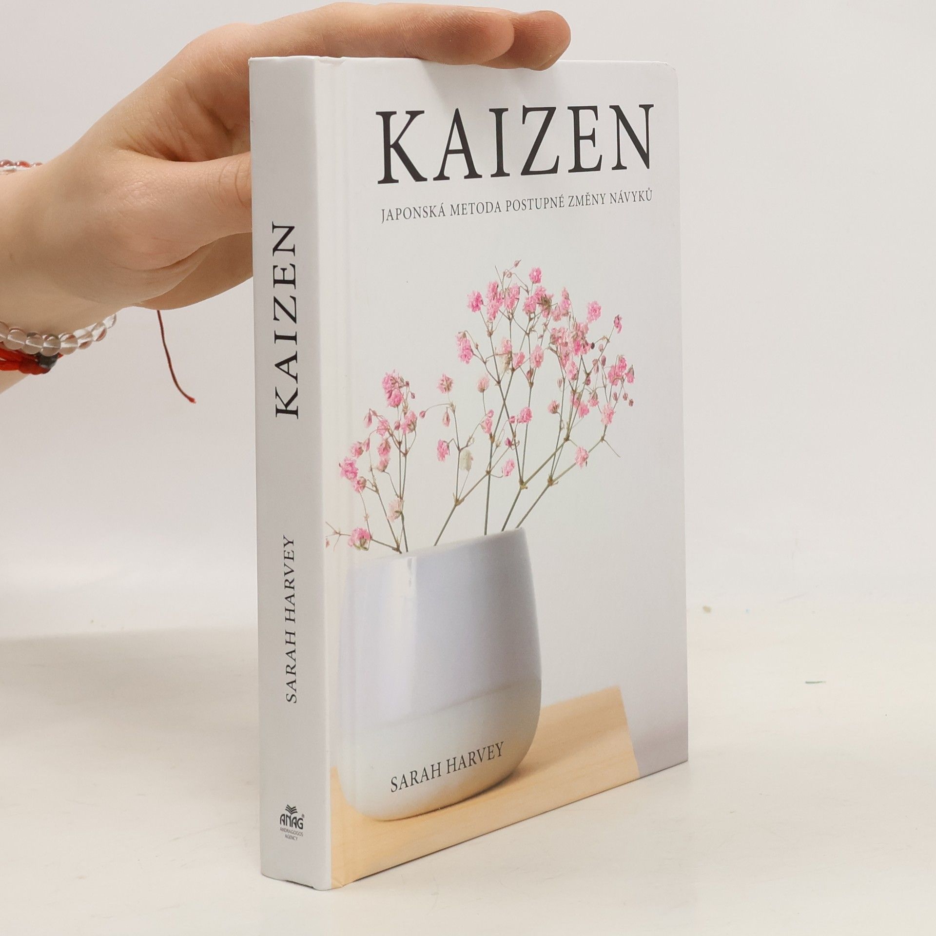 Sarah Harvey Kaizen: Japonská metoda postupné změny návyků