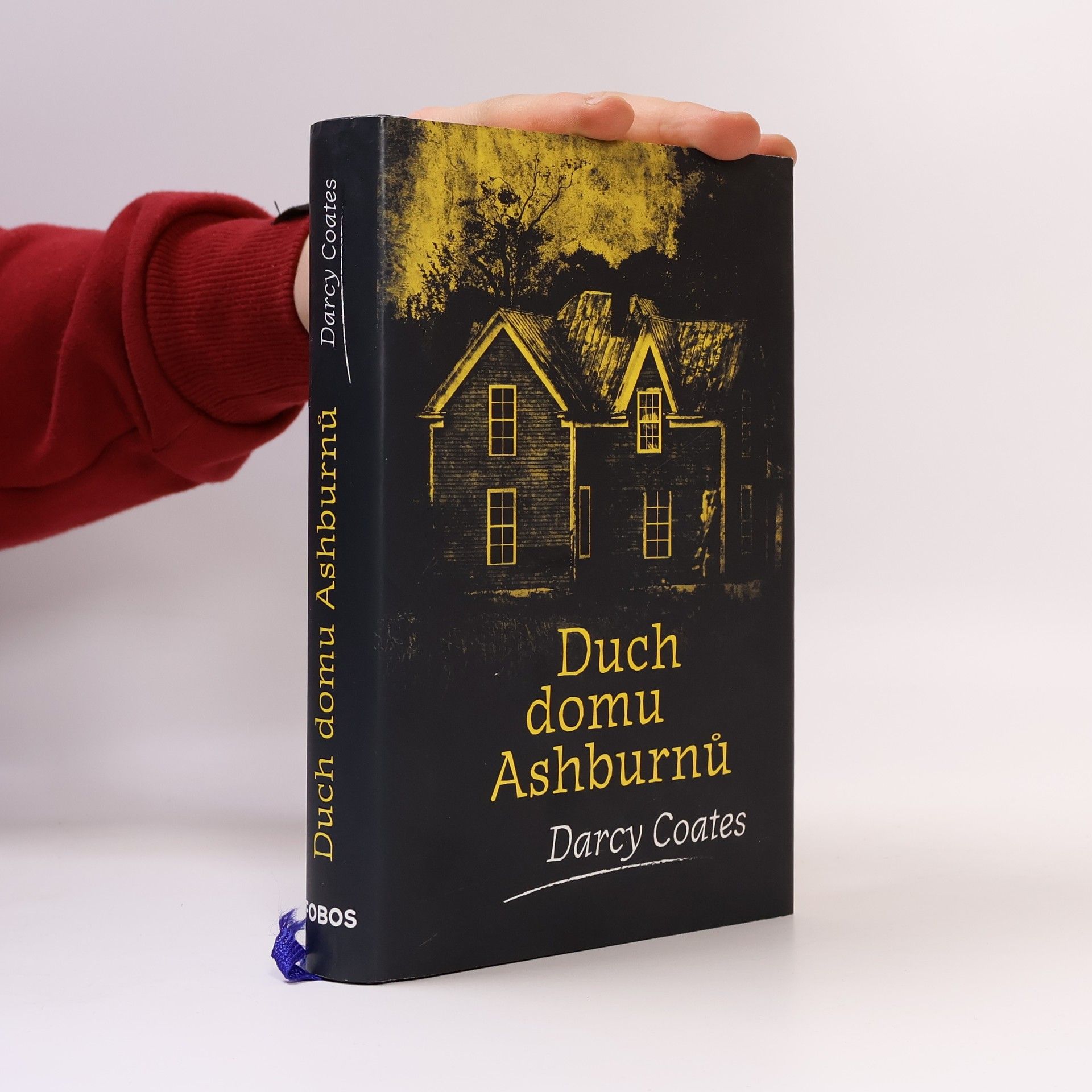 Darcy Coates Duch domu Ashburnů