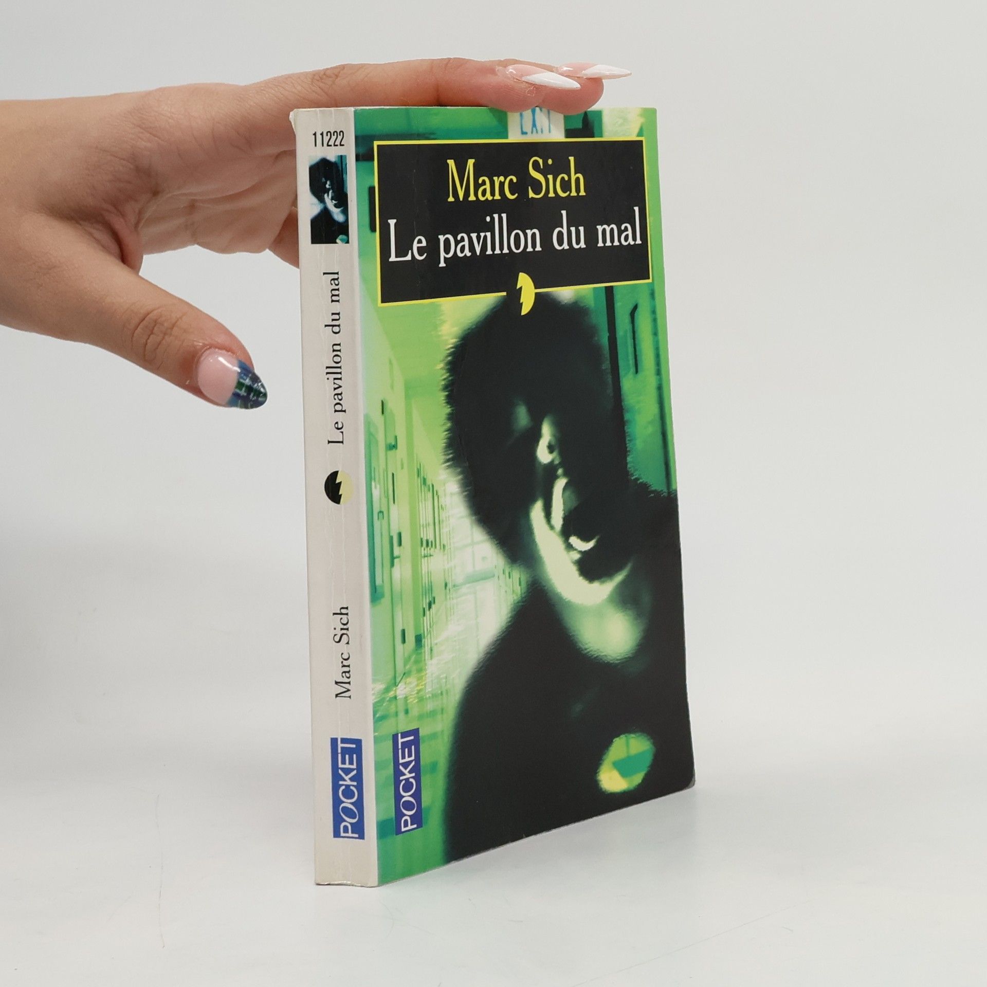 Marc Sich Le pavillon du mal