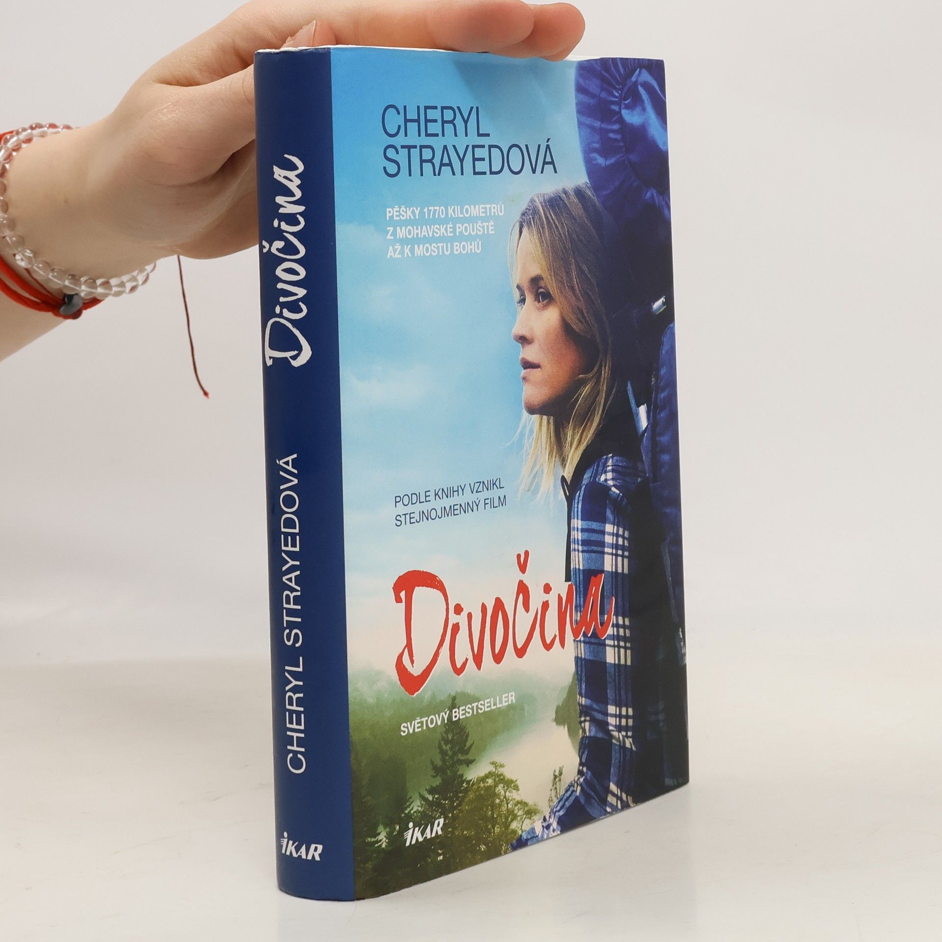 Cheryl Strayed Divočina. Pěšky 1770 kilometrů z Mohavské pouště až k mostu bohů