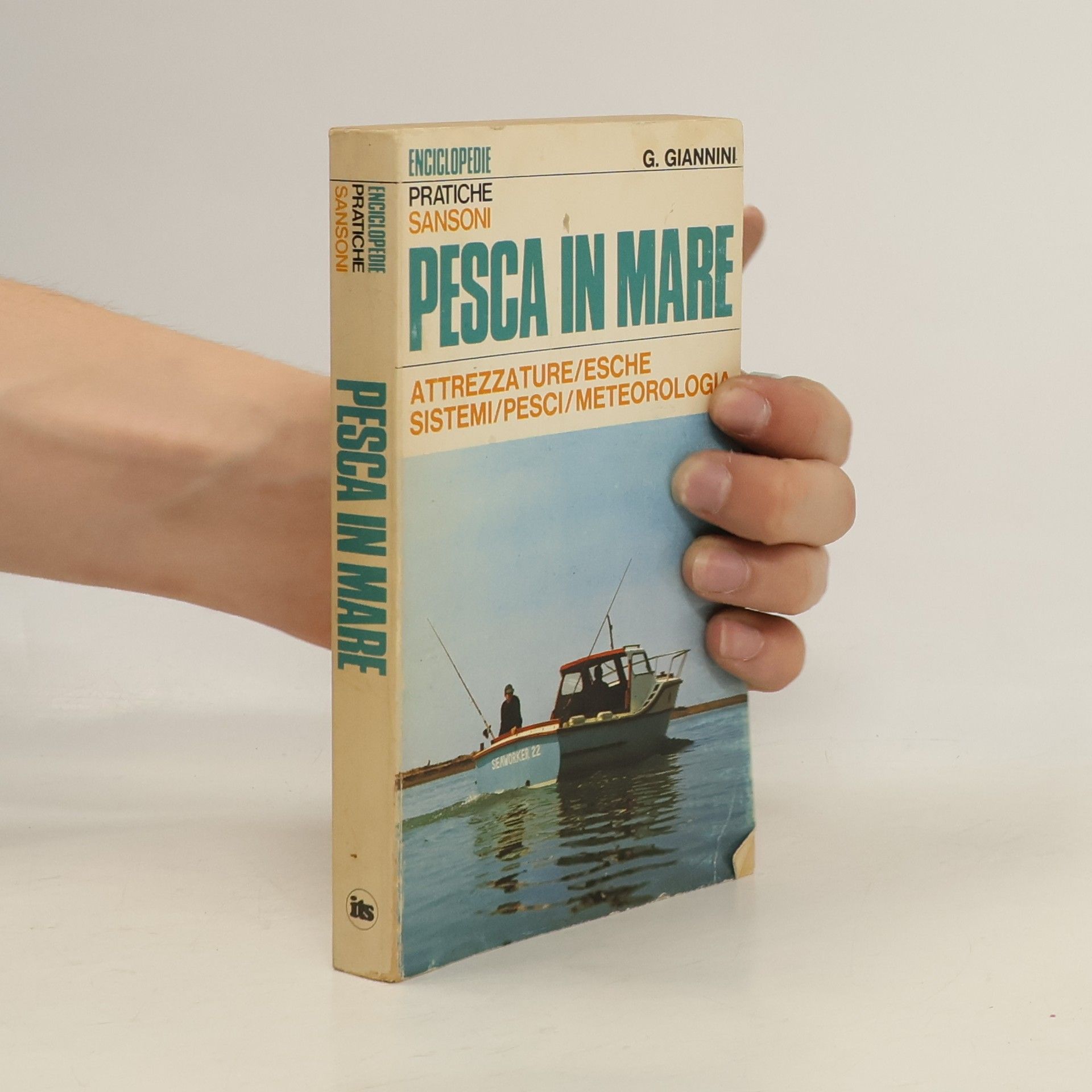 G Giannini Pesca in mare