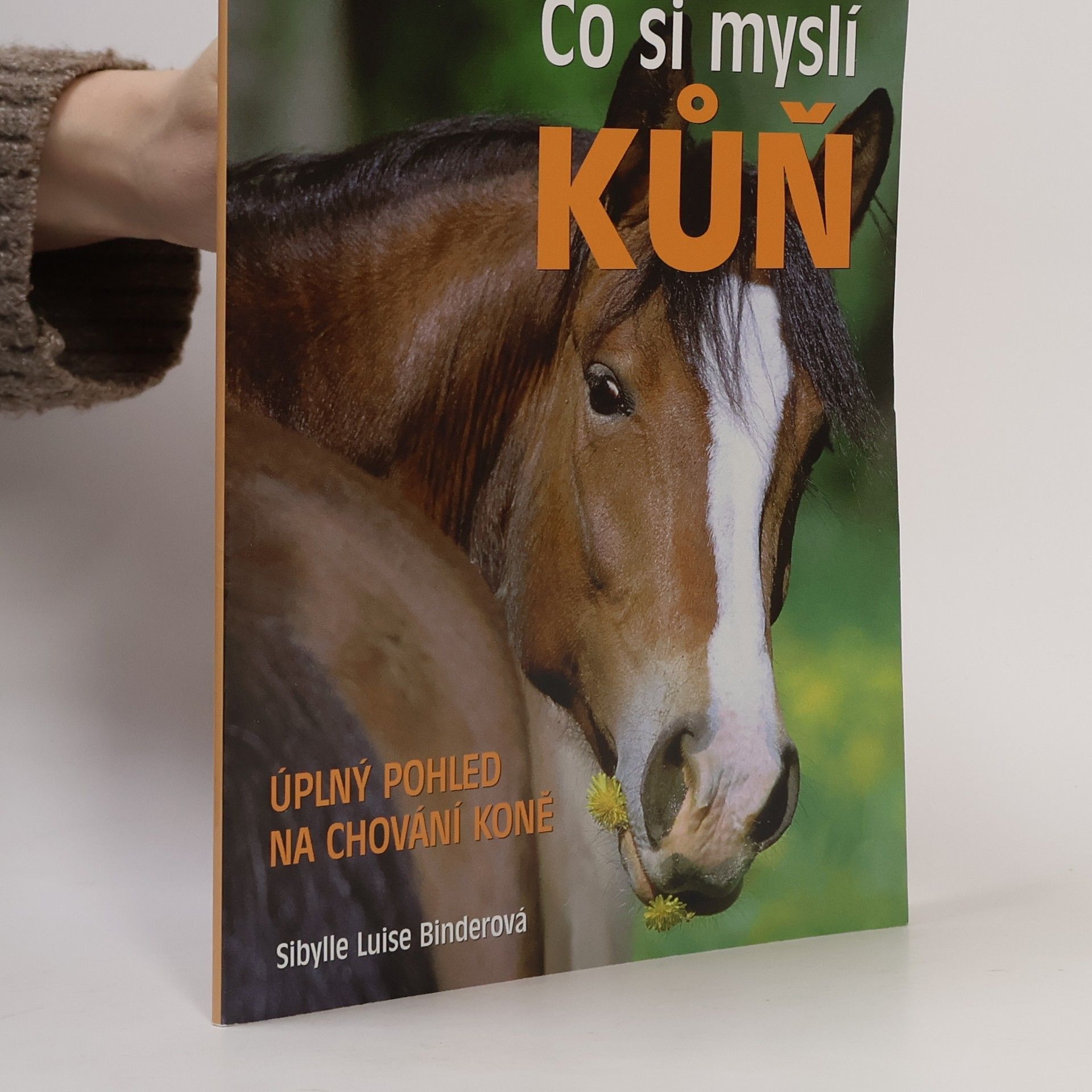 Sibylle Luise Binder Co si myslí kůň : úplný pohled na chování koně