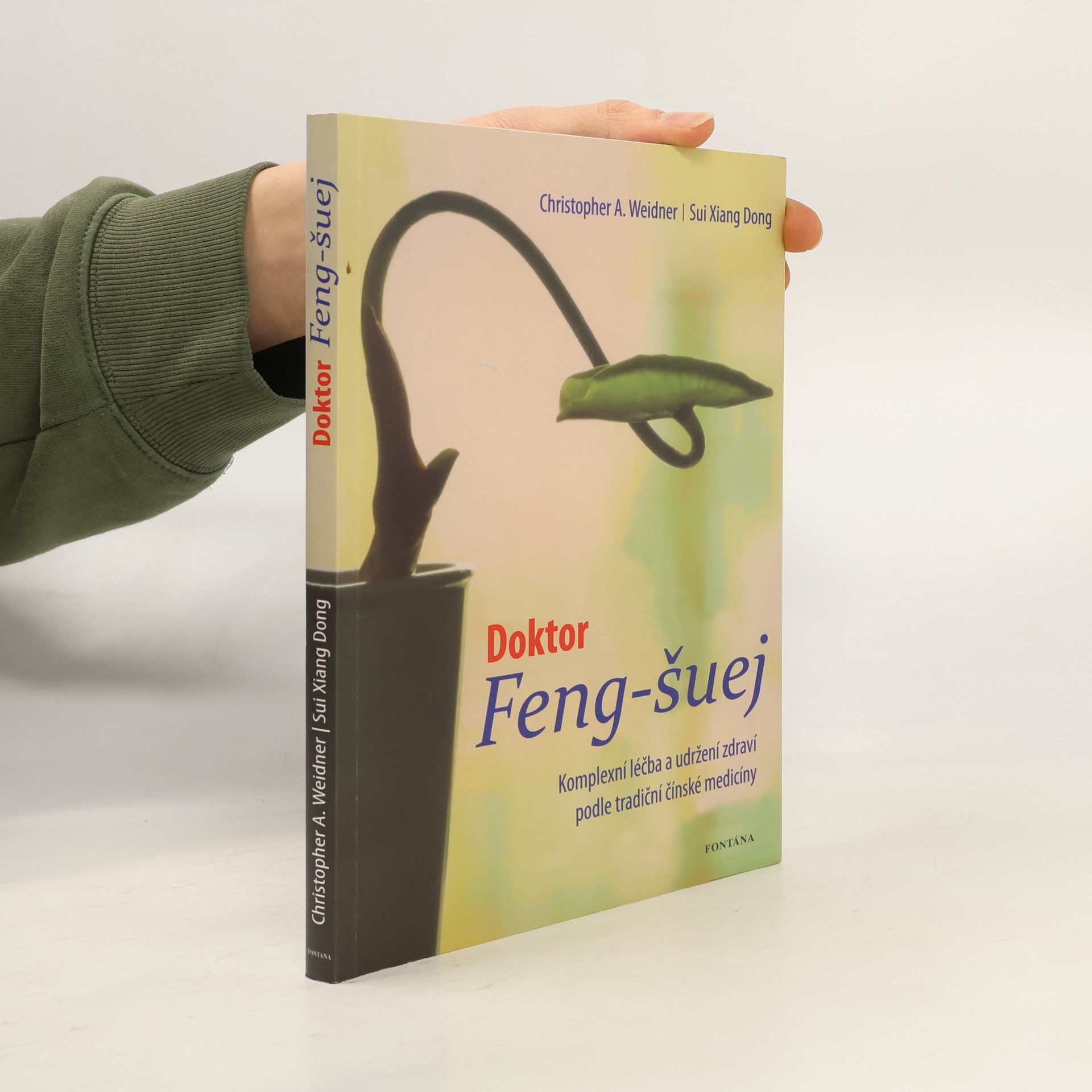 Xiangdong Sui Doktor Feng-šuej: komplexní léčba a udržení zdraví podle tradiční čínské medicíny