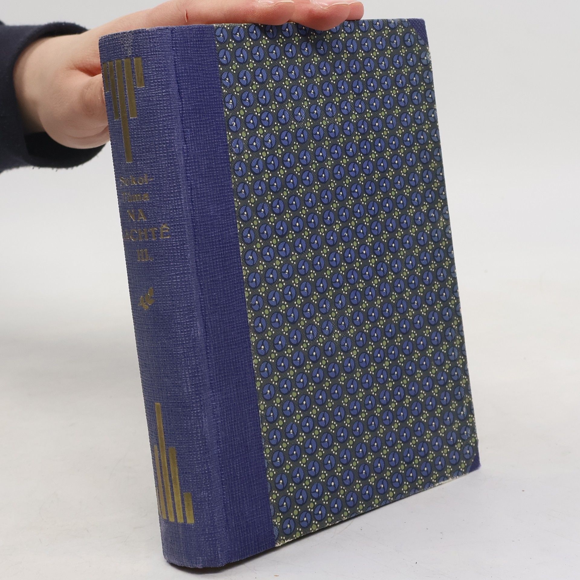 František Sokol Tůma Na šachtě