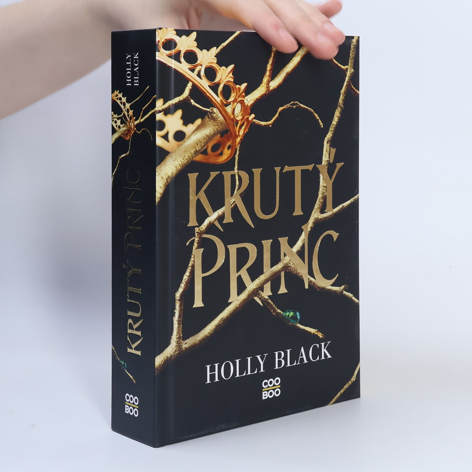 Holly Black Krutý princ