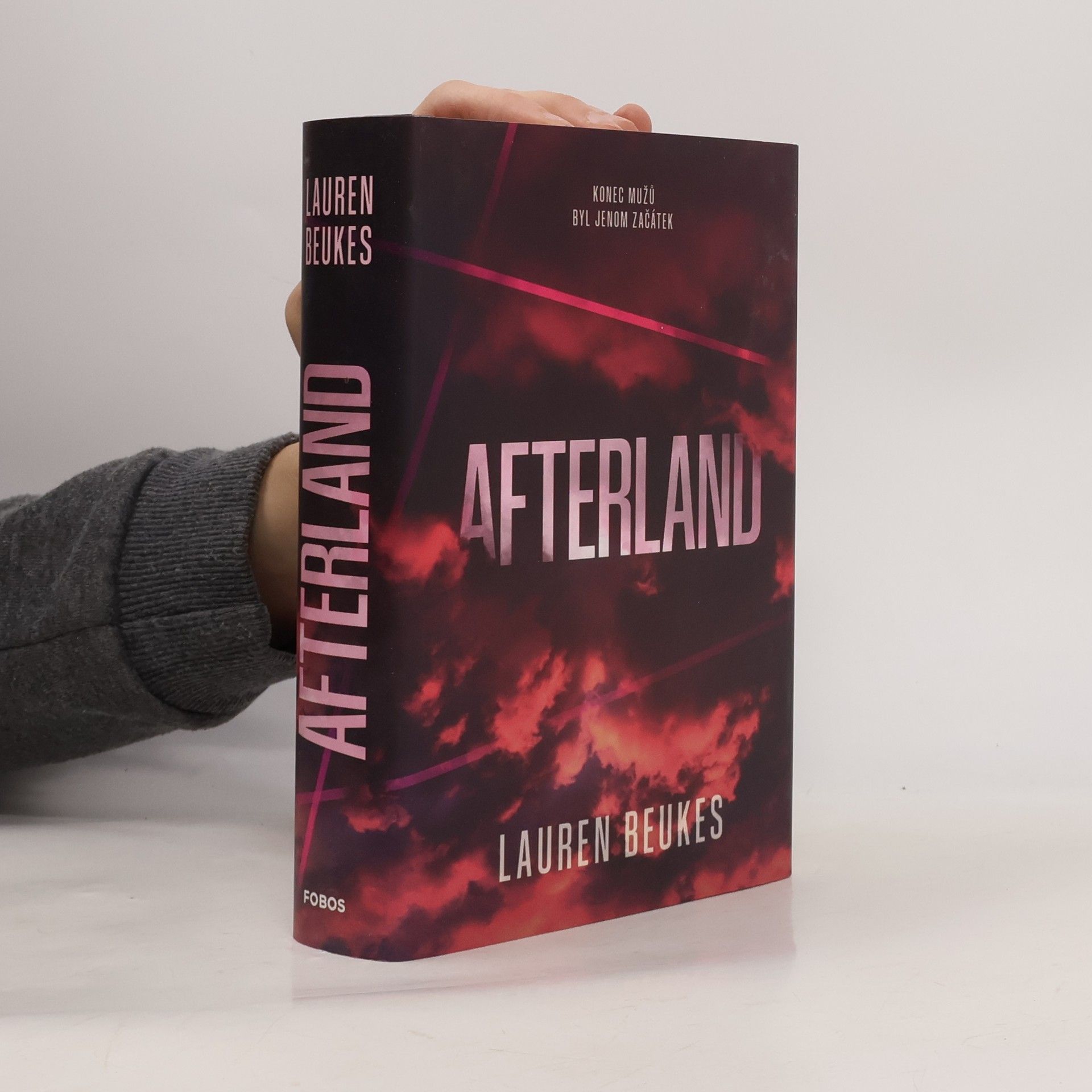 Lauren Beukes Afterland