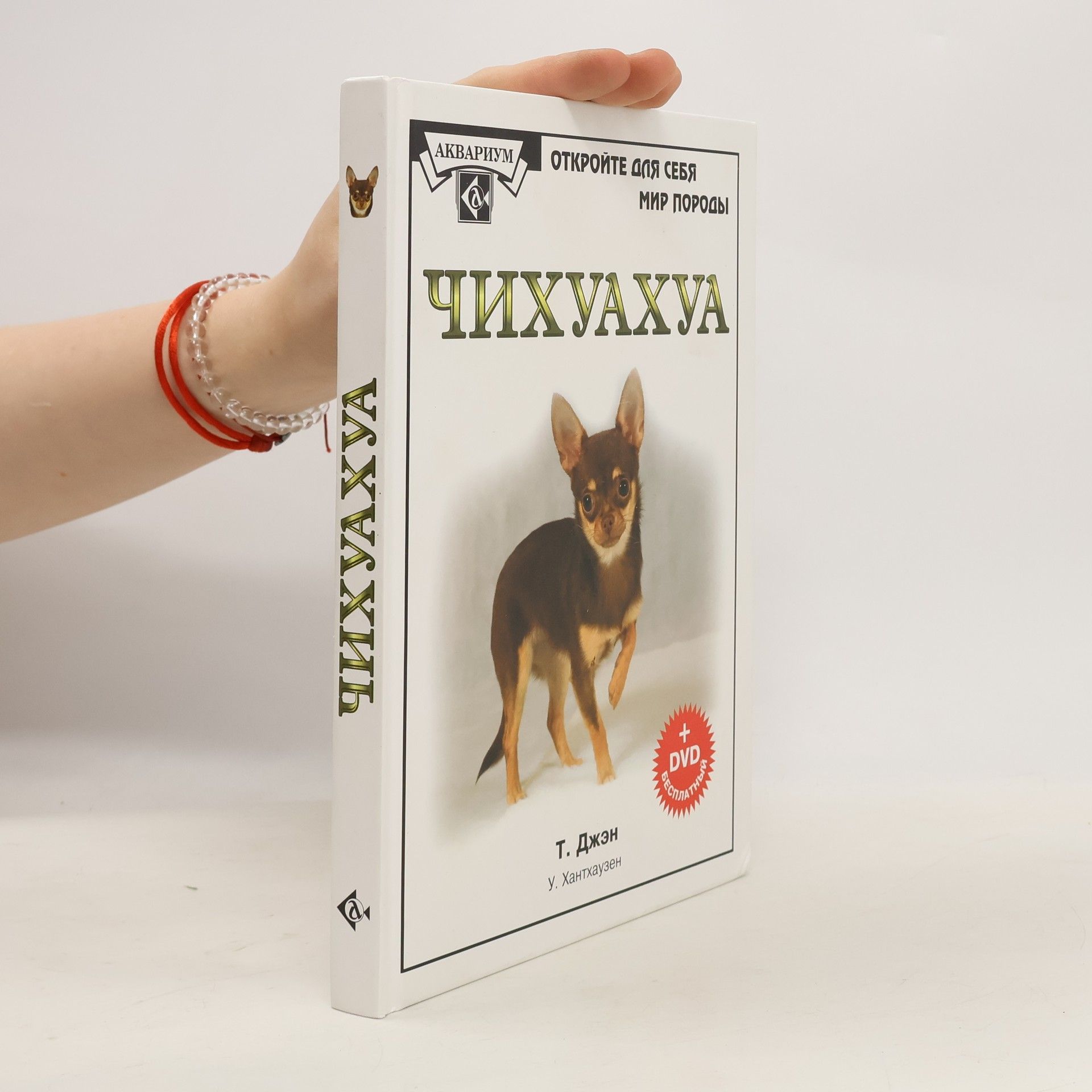 Tammy Gagne Чихуахуа