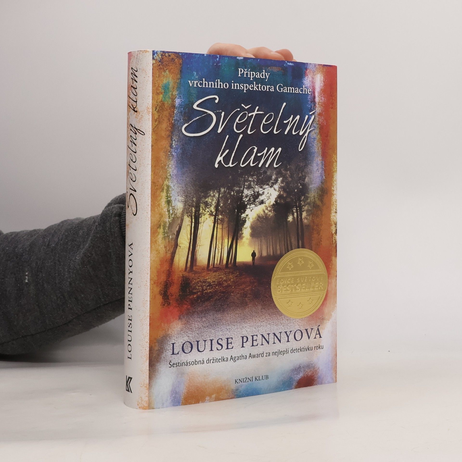 Louise Penny Světelný klam