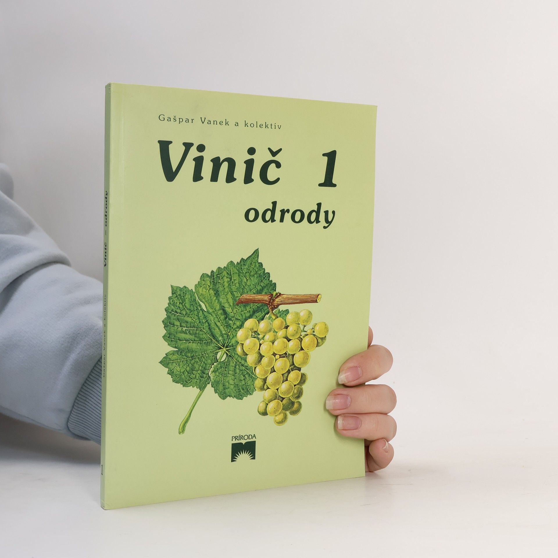 Gašpar Vanek Vinič 1. Odrody