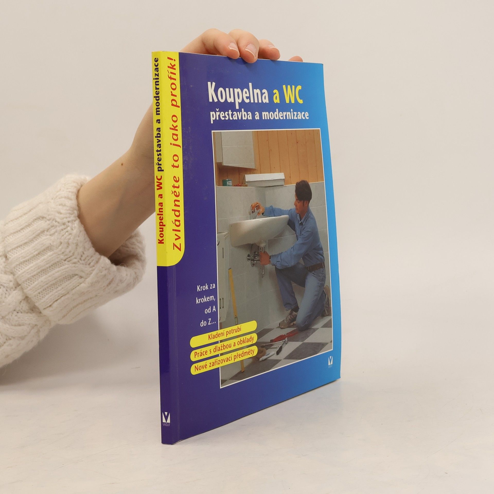 Zuzana Vlačihová Koupelna a WC: Přestavba a modernizace