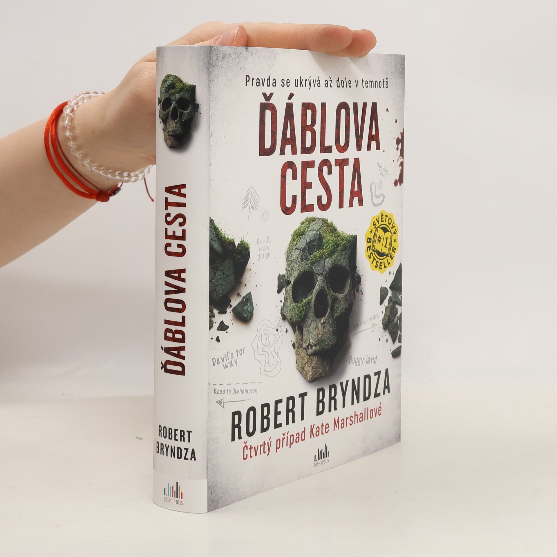 Robert Bryndza Ďáblova cesta