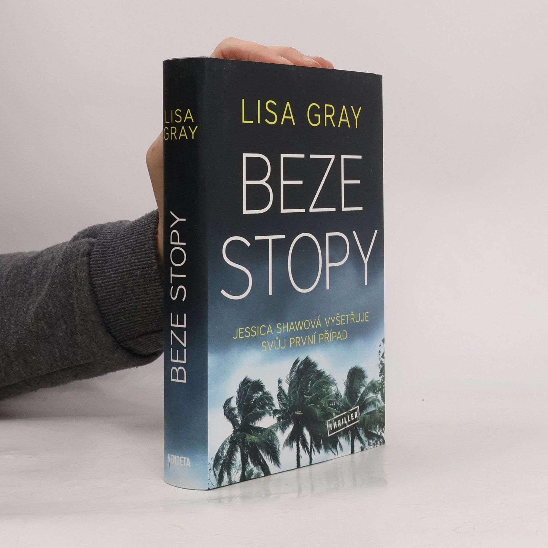 Lisa Gray Beze stopy
