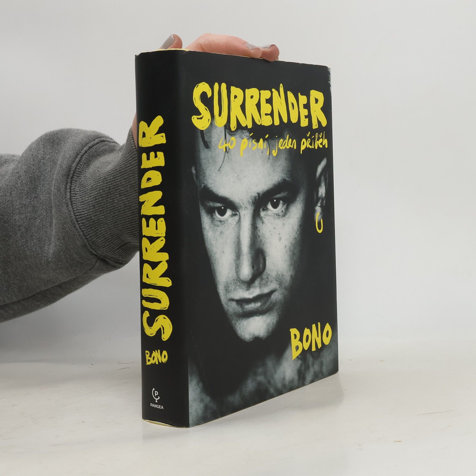 Bono Surrender : 40 písní, jeden příběh