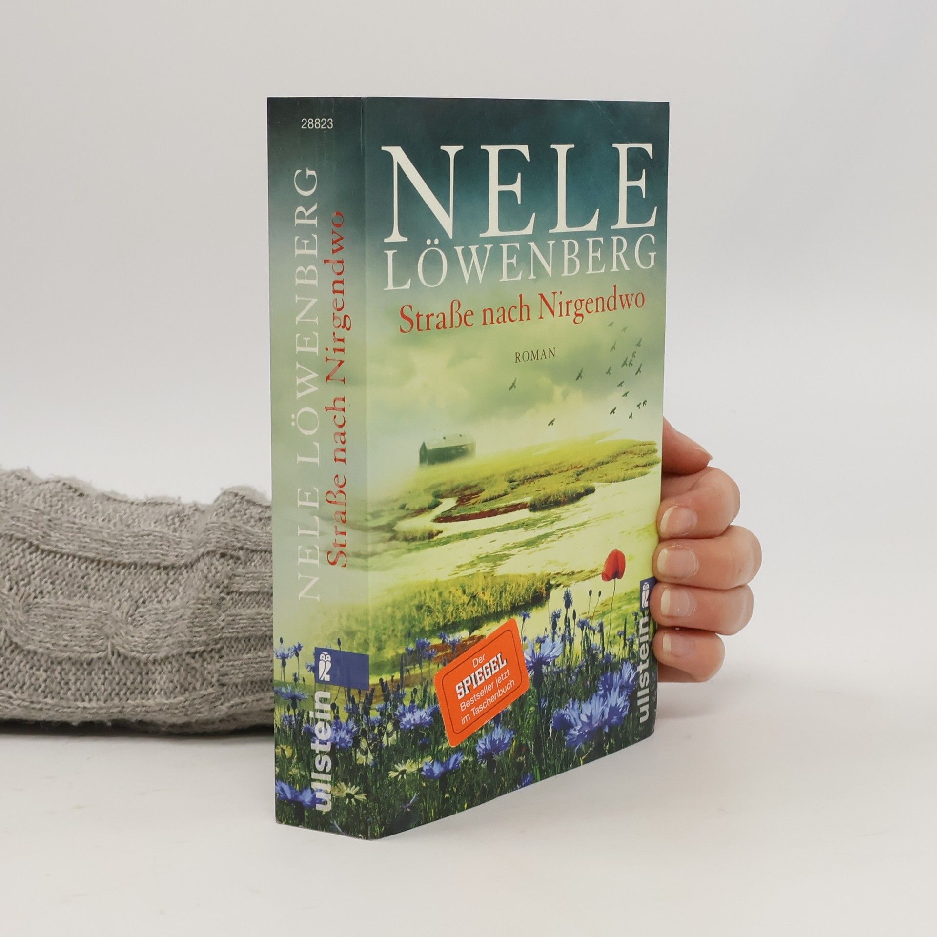 Straße nach Nirgendwo