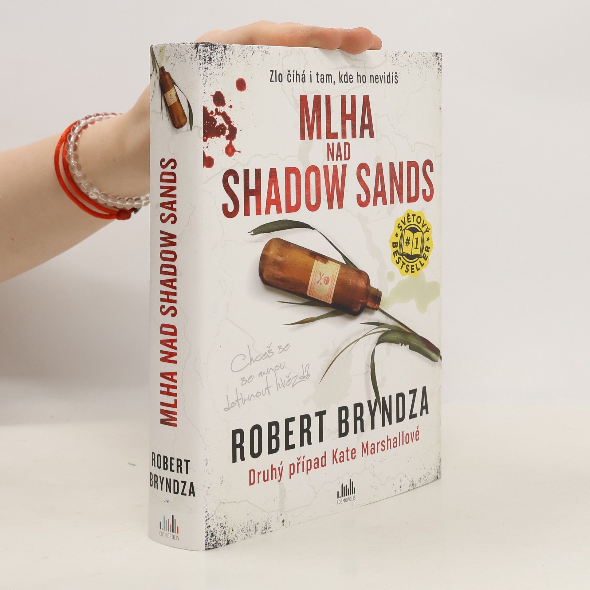 Robert Bryndza Mlha nad Shadow Sands