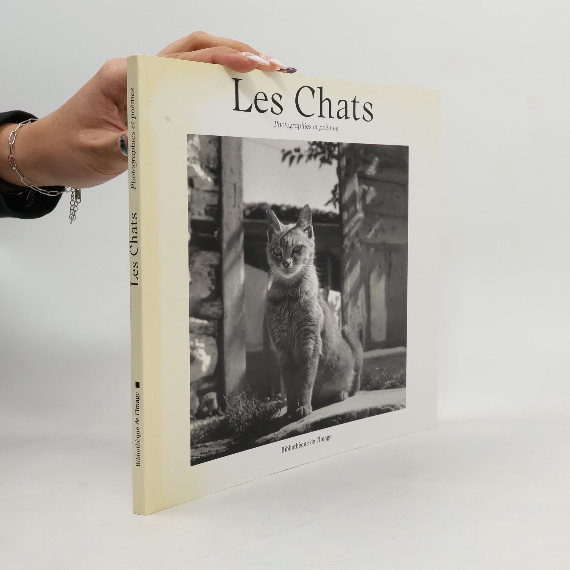 Marie De They Les Chats