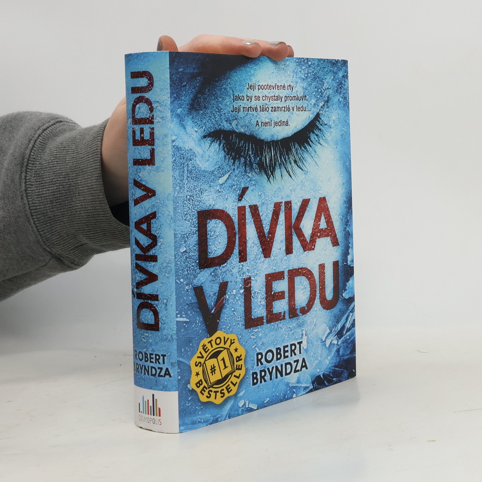 Robert Bryndza Dívka v ledu