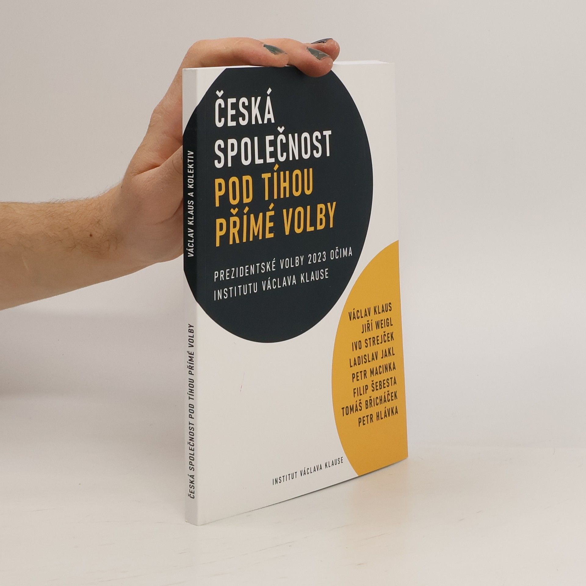 Kolektiv autorů Česká společnost pod tíhou přímé volby