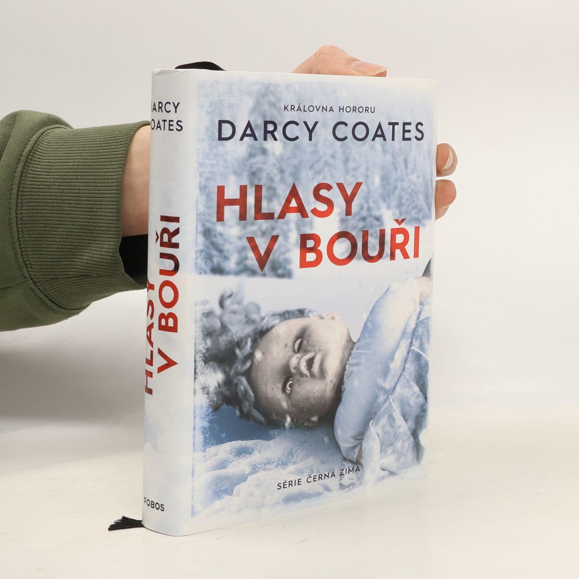 Darcy Coates Hlasy v bouři
