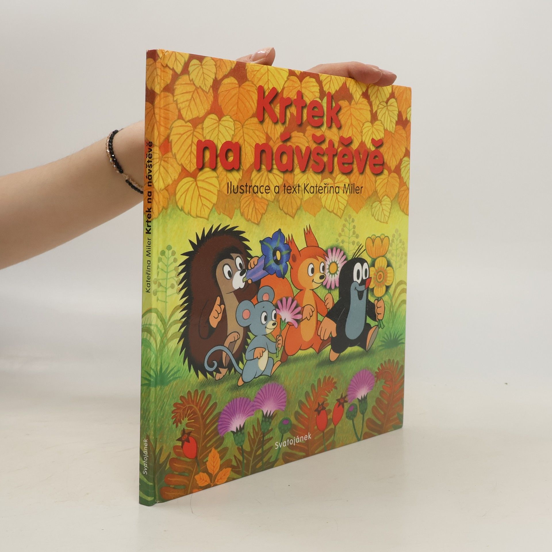 Kateřina Lovis Miler Krtek na návštěvě