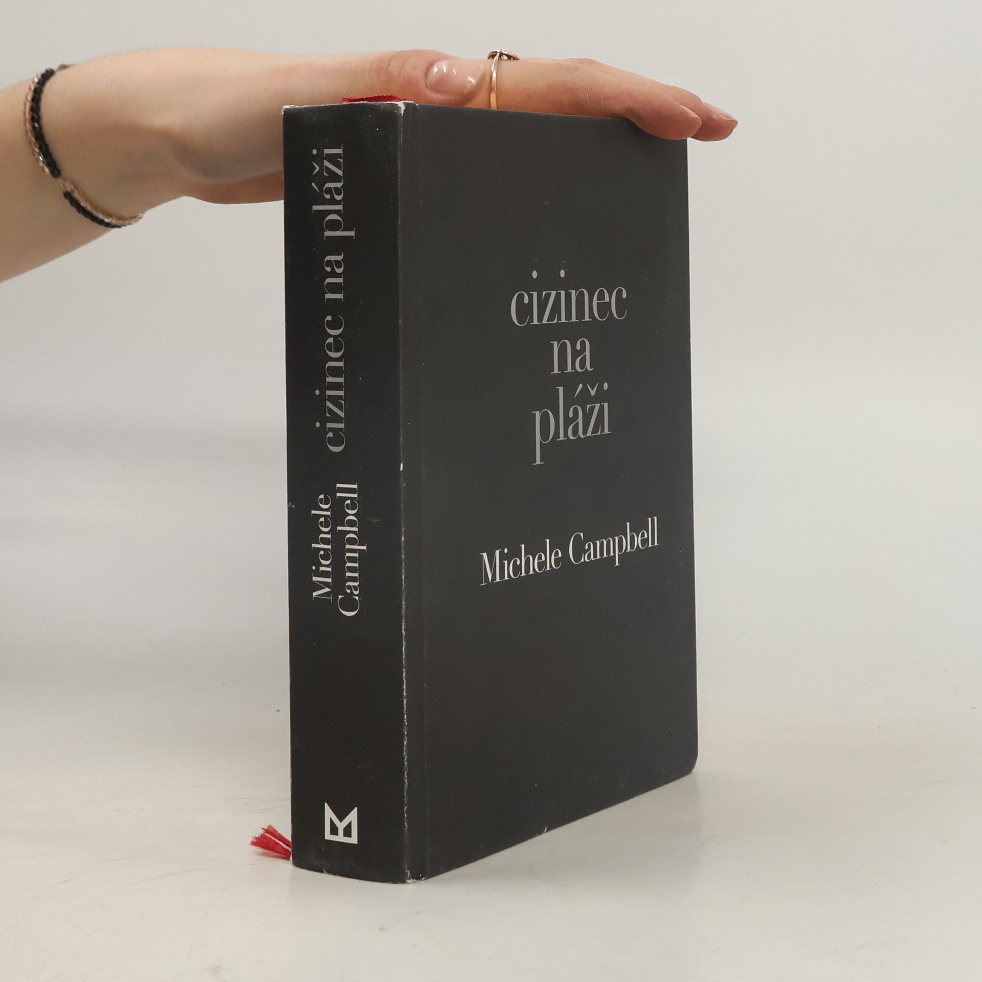 Michele Campbell Cizinec na pláži