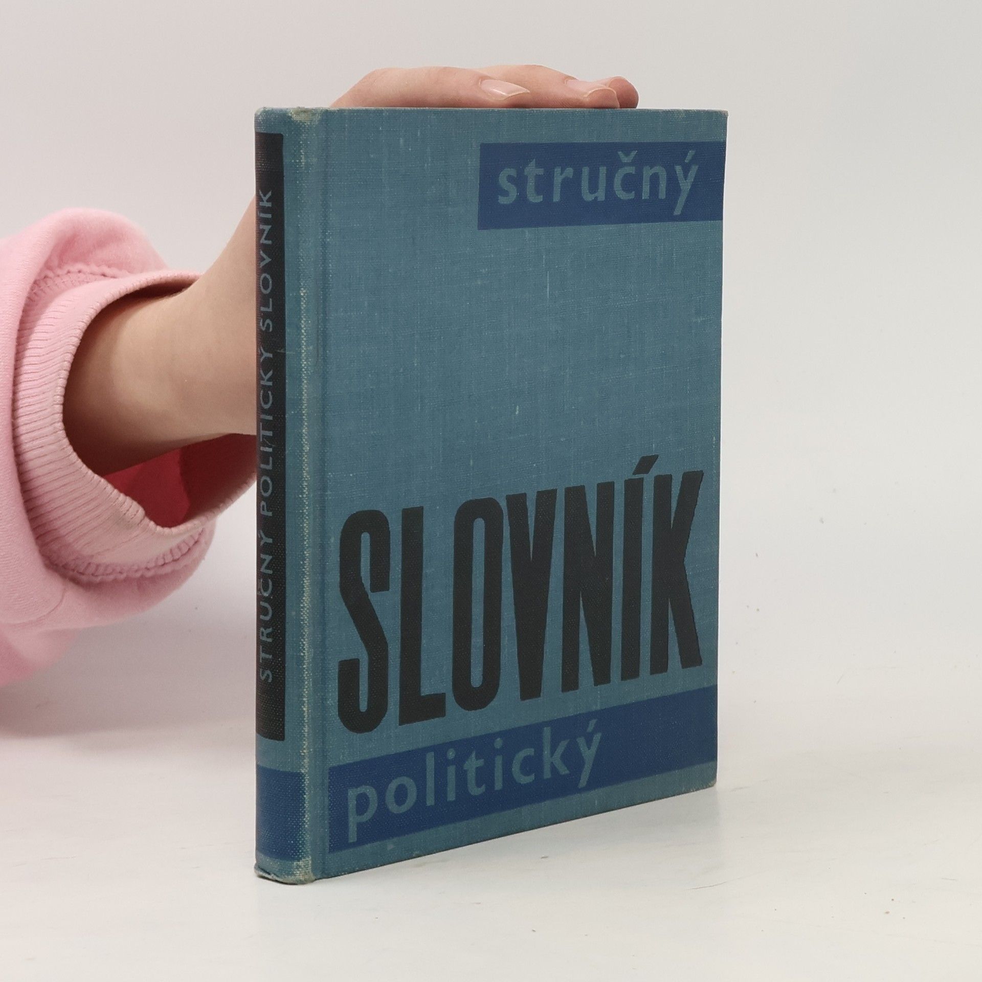 Autorenkollektiv Stručný slovník politický